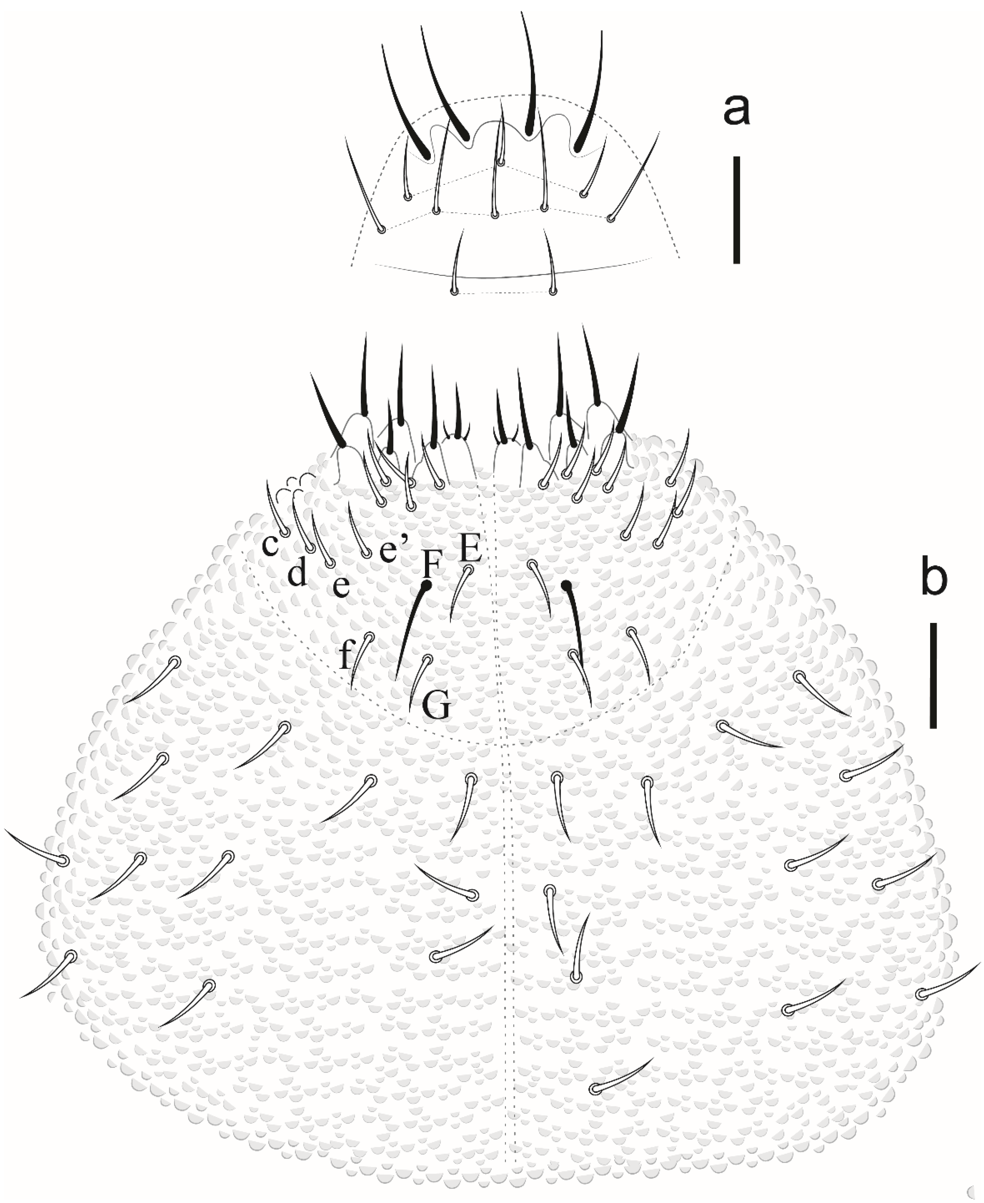 Insects 12 00268 g021