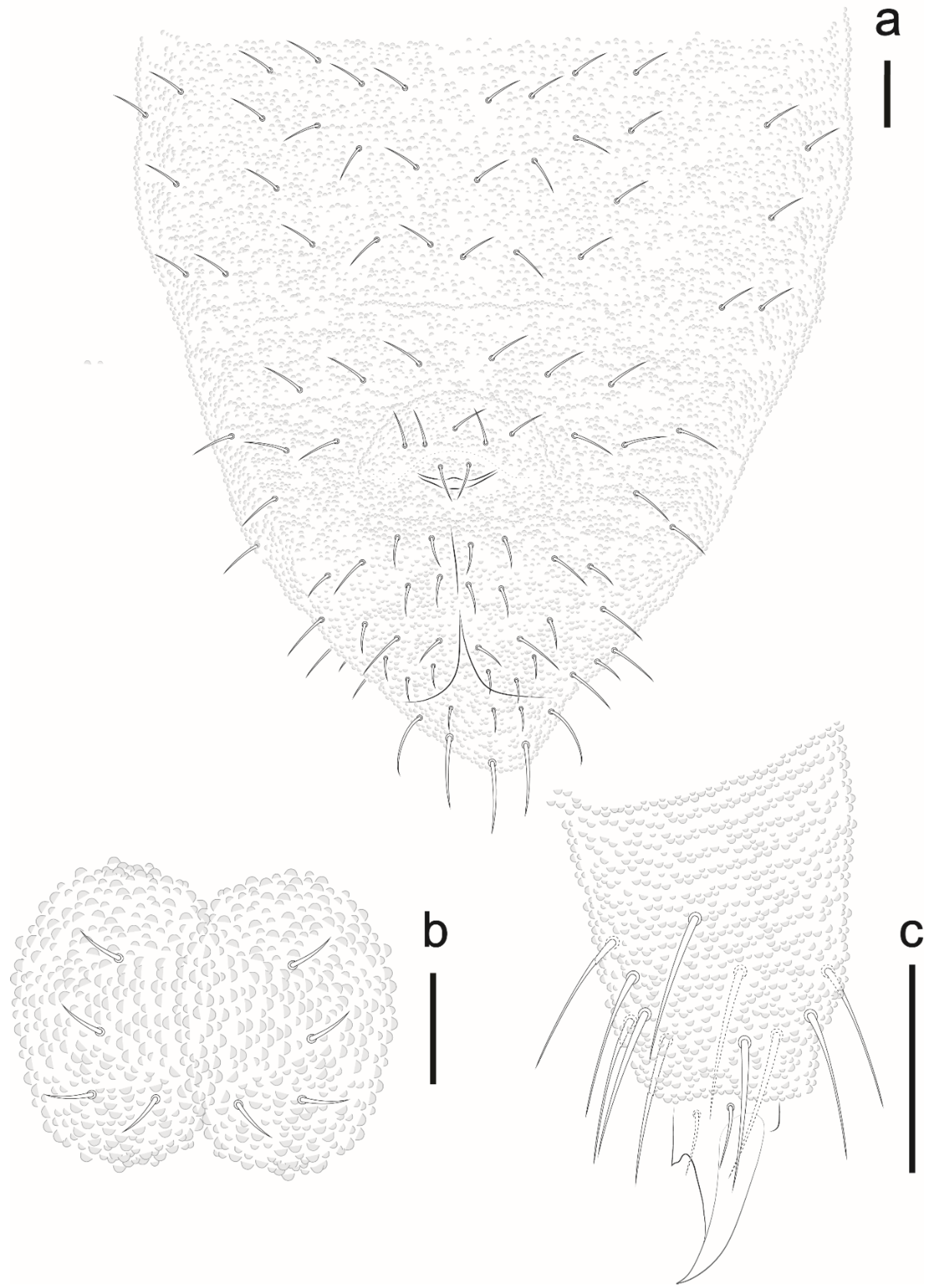 Insects 12 00268 g023