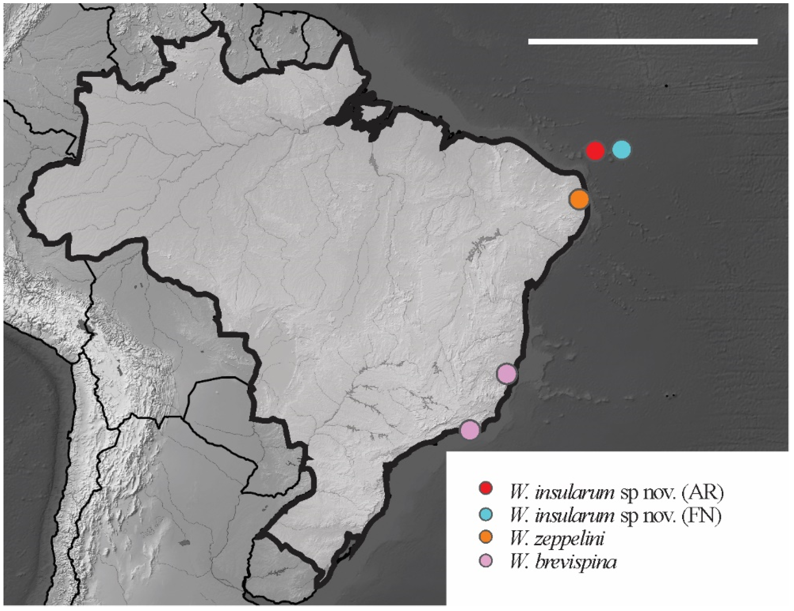 Insects 12 00268 g024