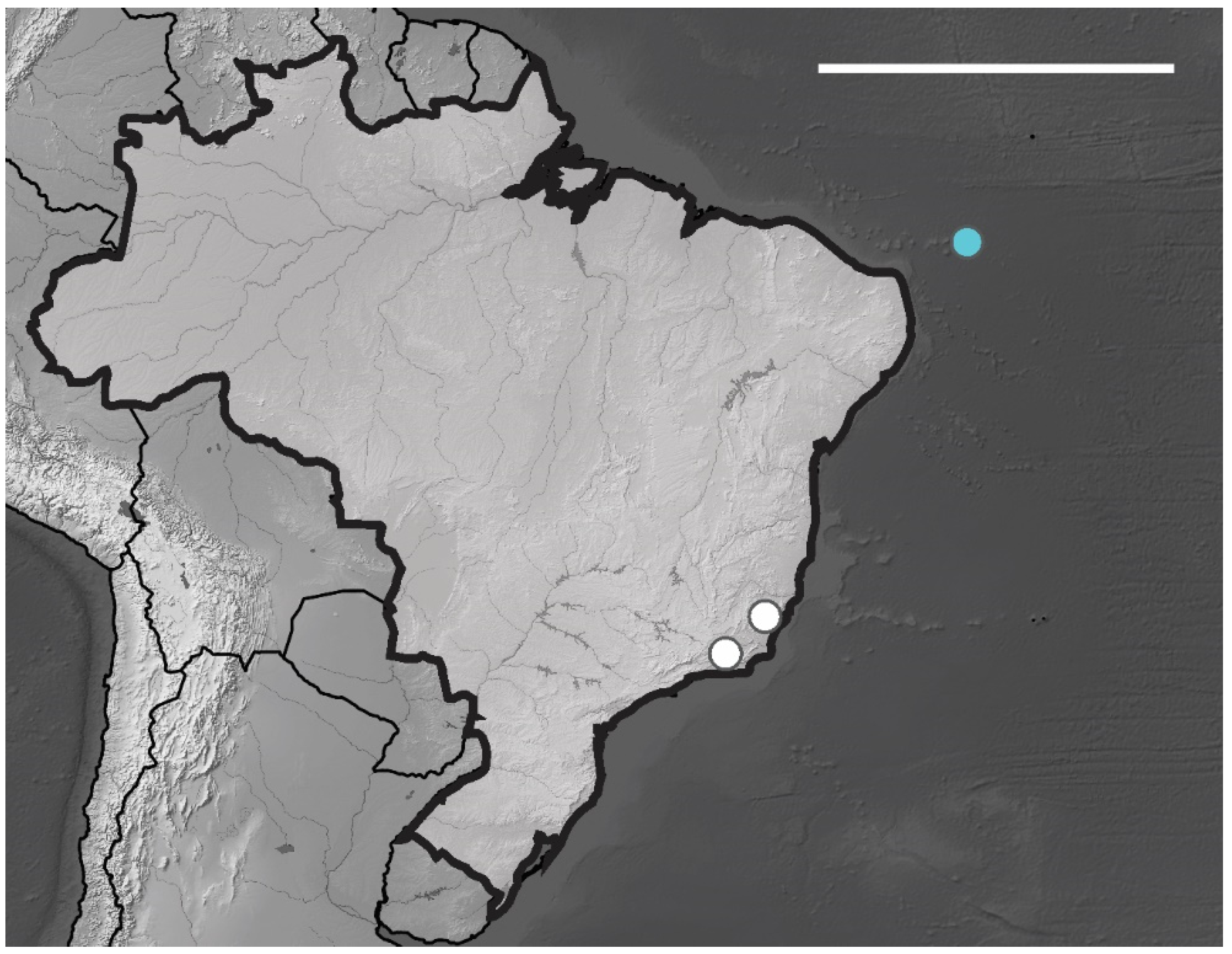 Insects 12 00268 g025