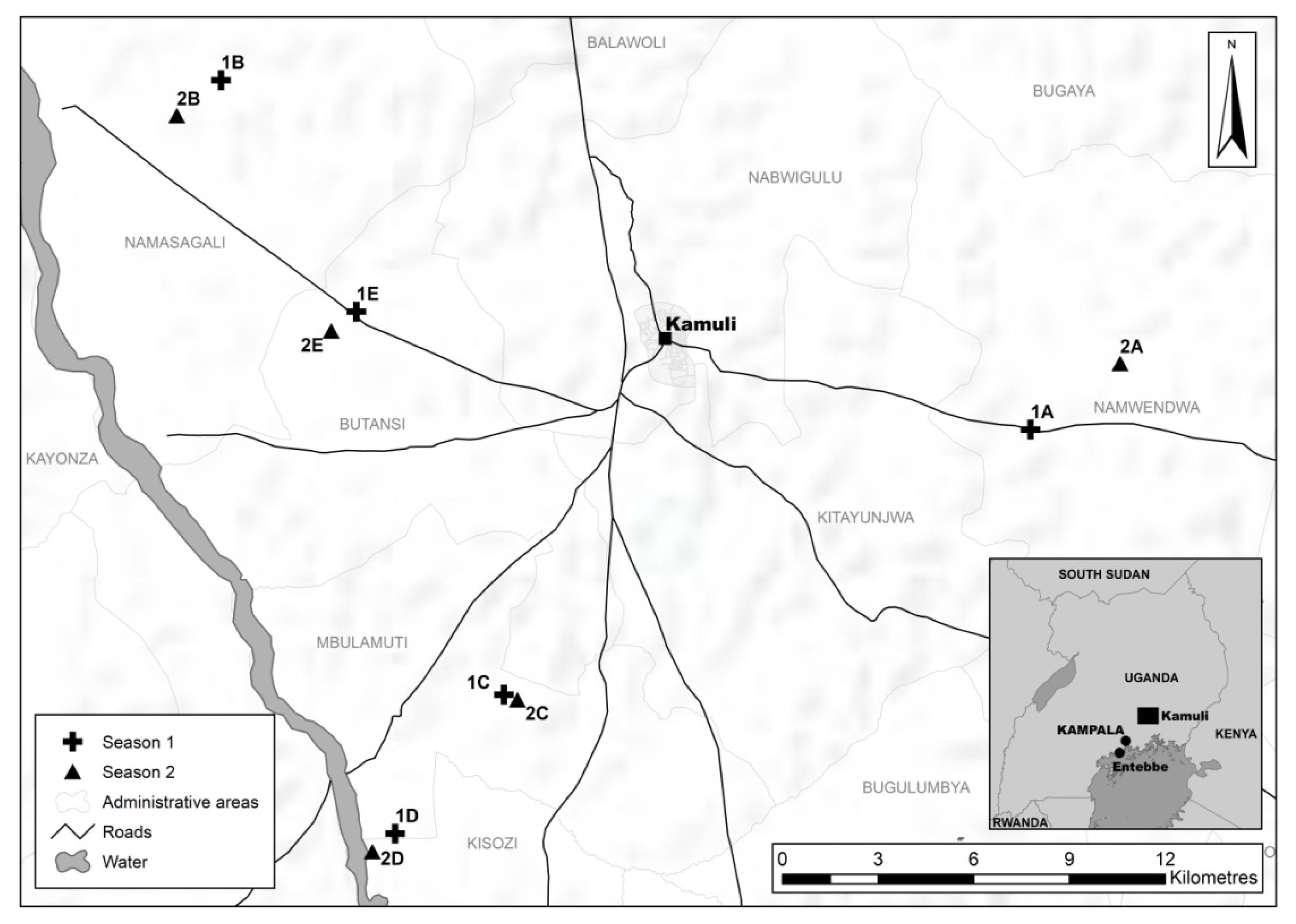 Insects 12 00269 g001