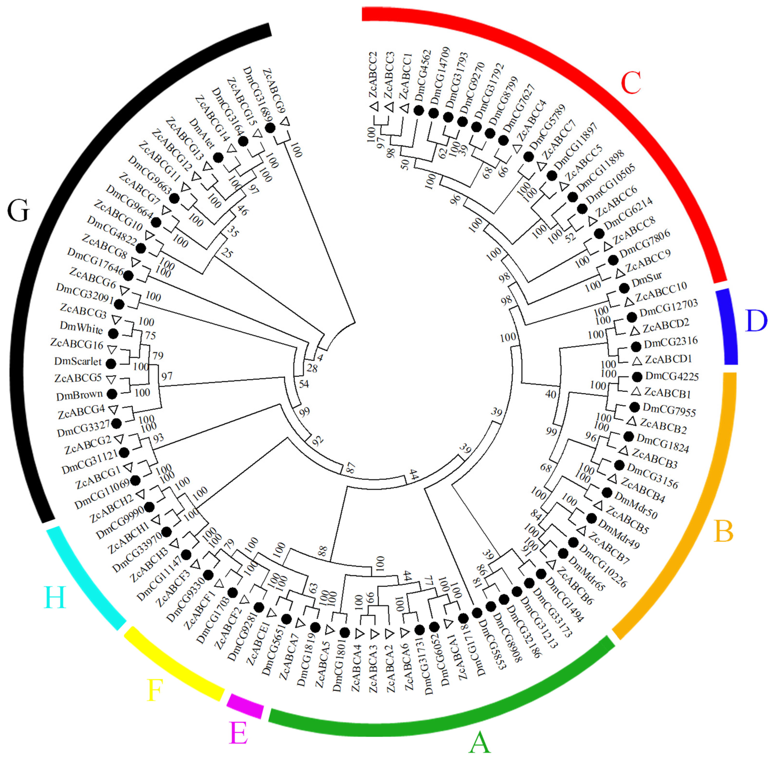 Insects 12 00270 g001 Insects 12 00270 g001