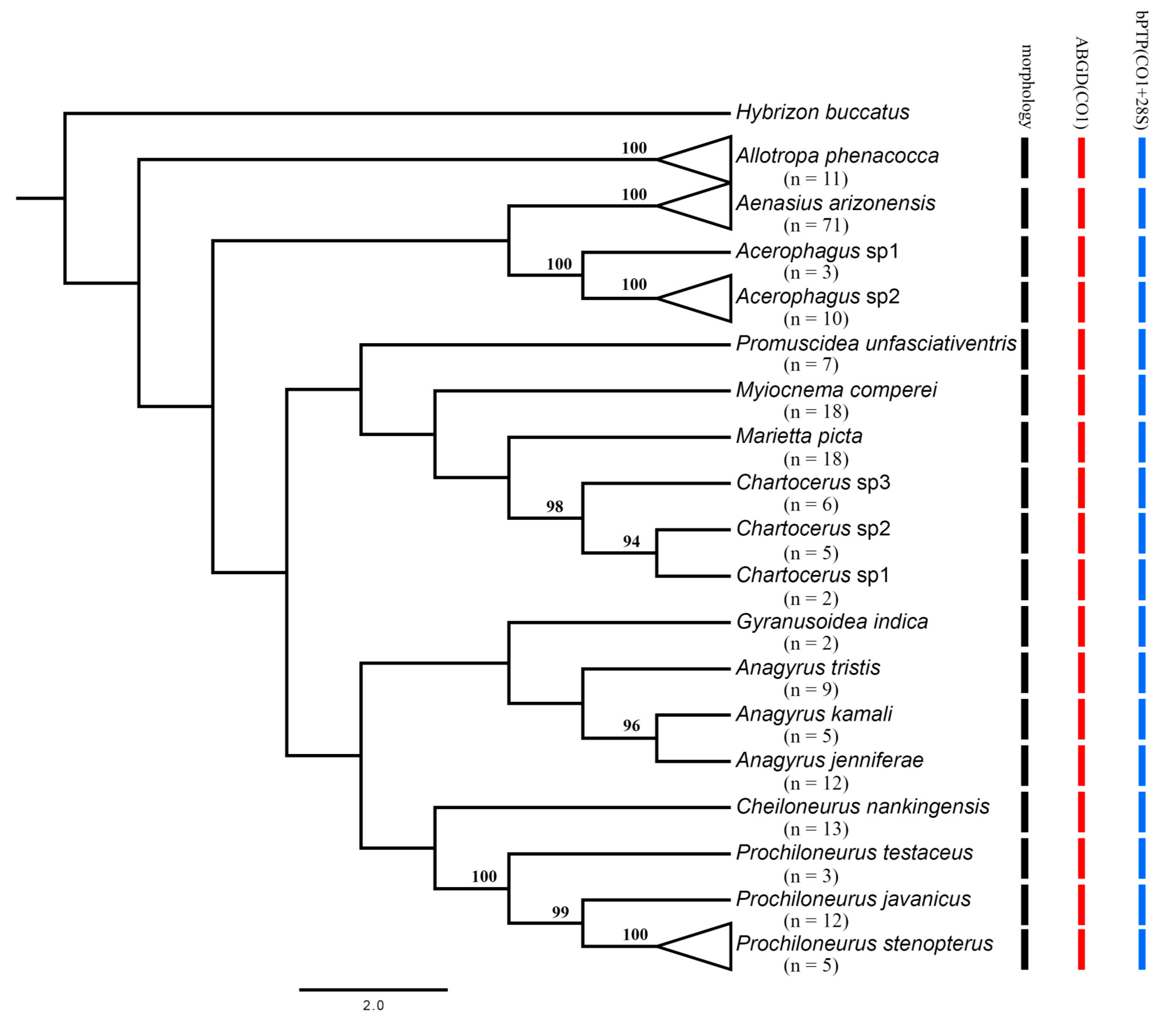 Insects 12 00290 g002