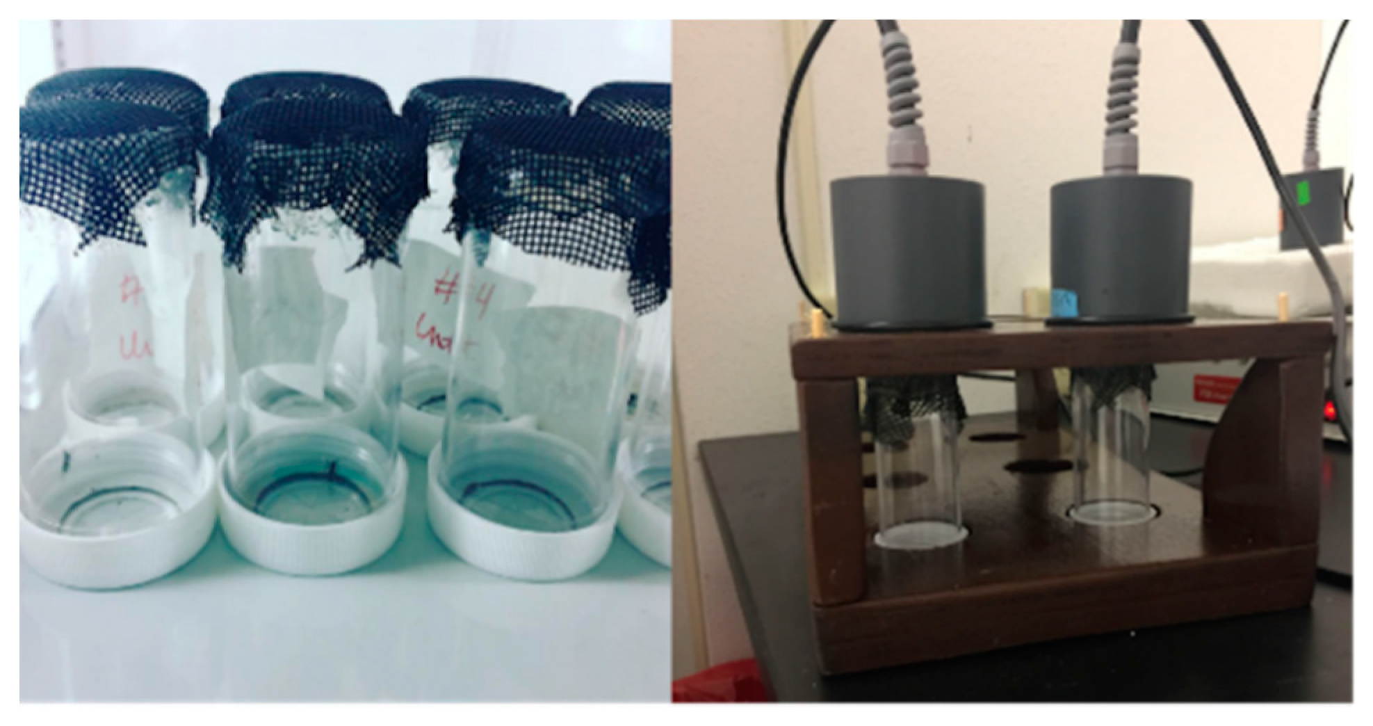 Insects 12 00292 g001