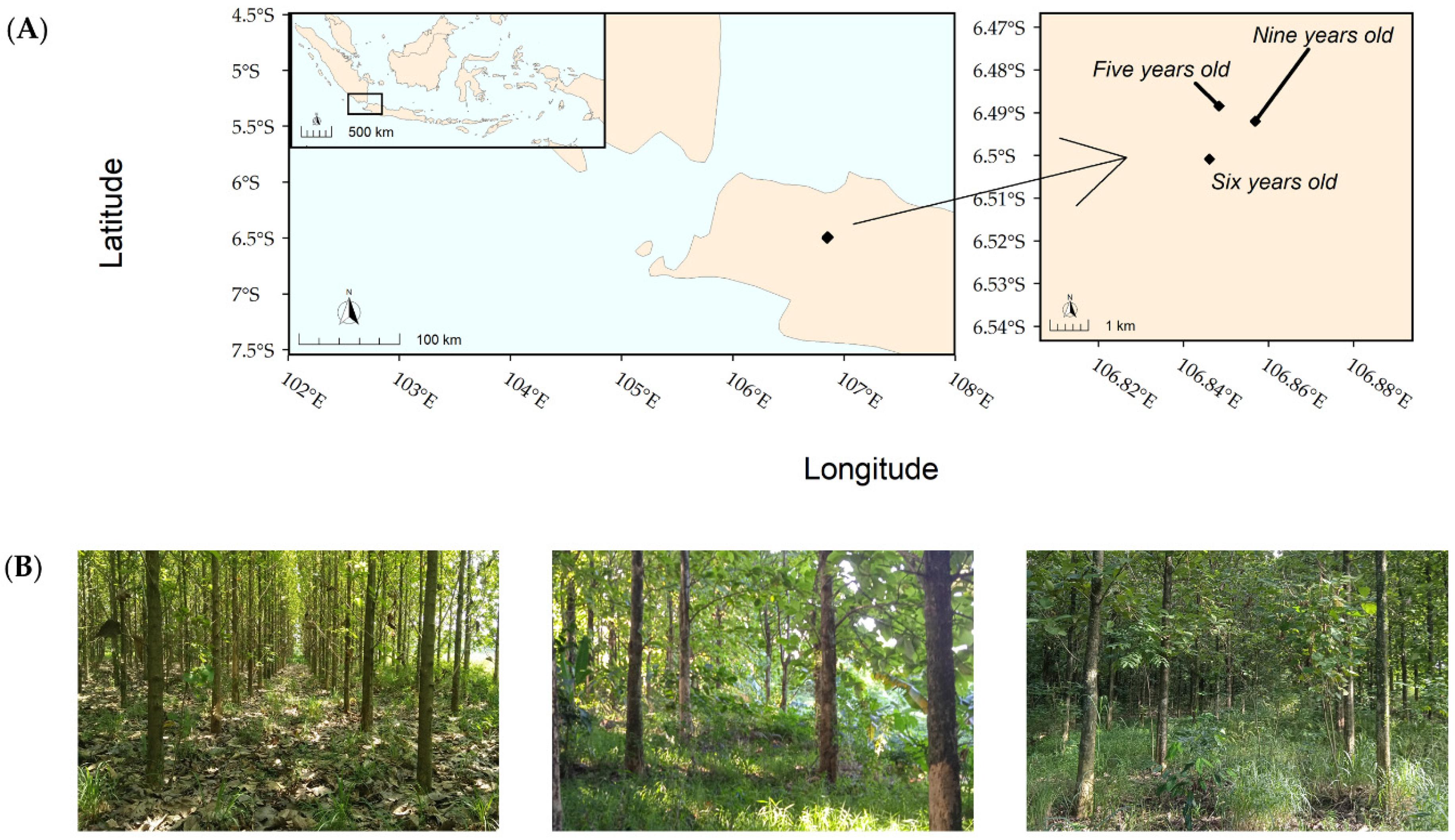Insects 12 00295 g001
