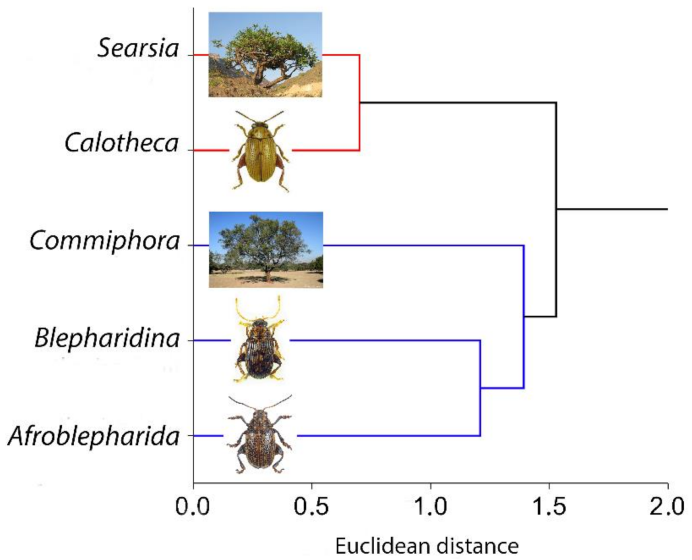 Insects 12 00299 g007