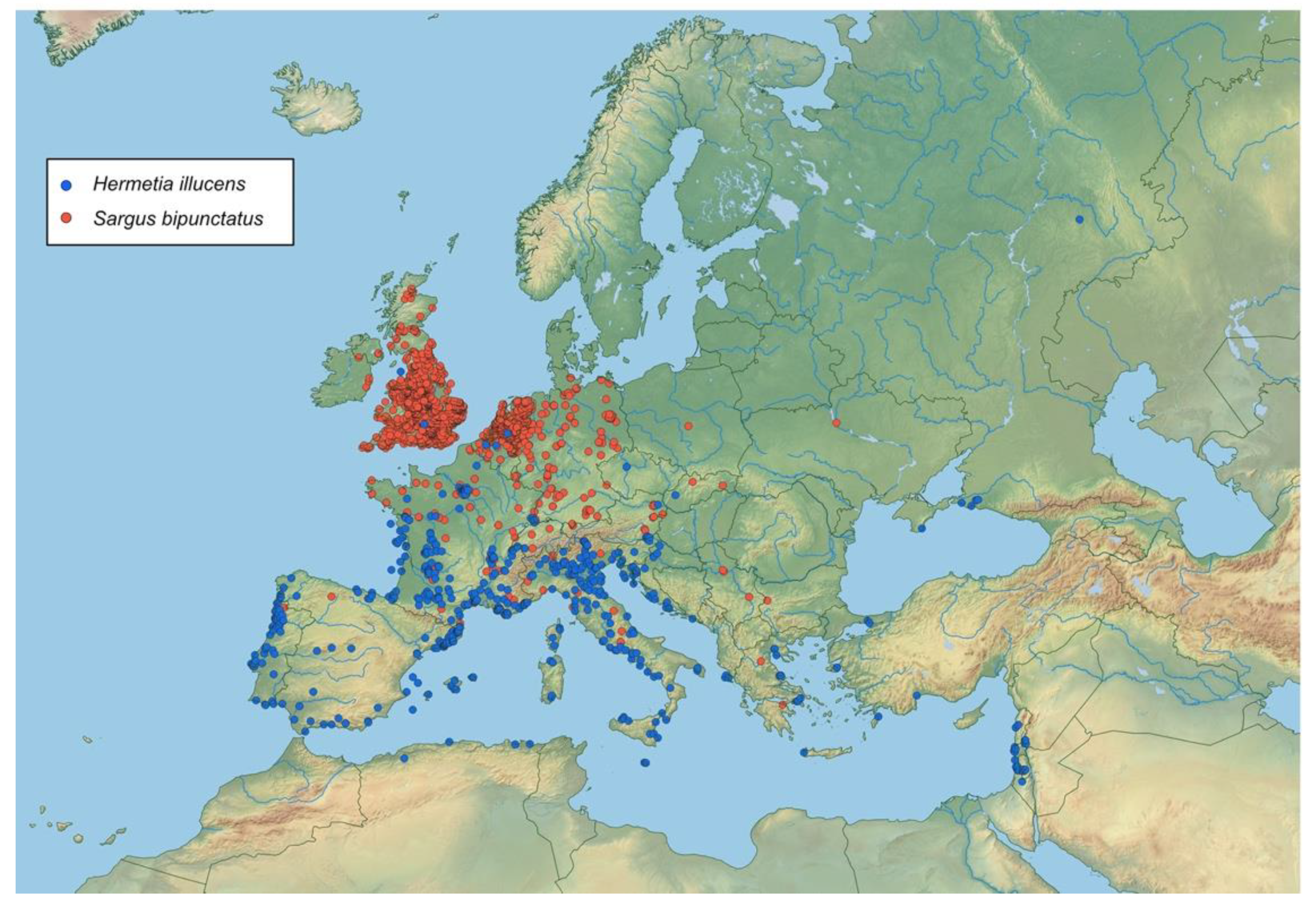 Insects 12 00302 g003