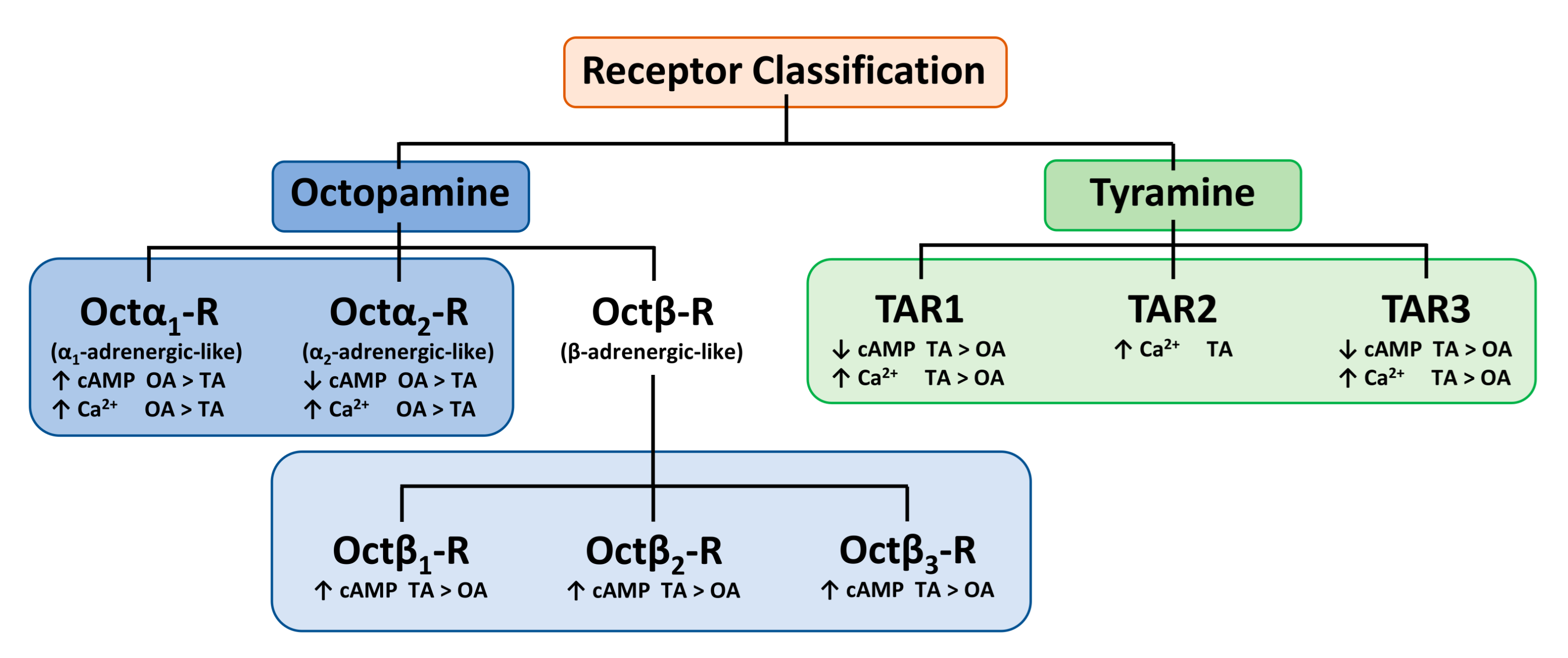 Insects 12 00315 g002
