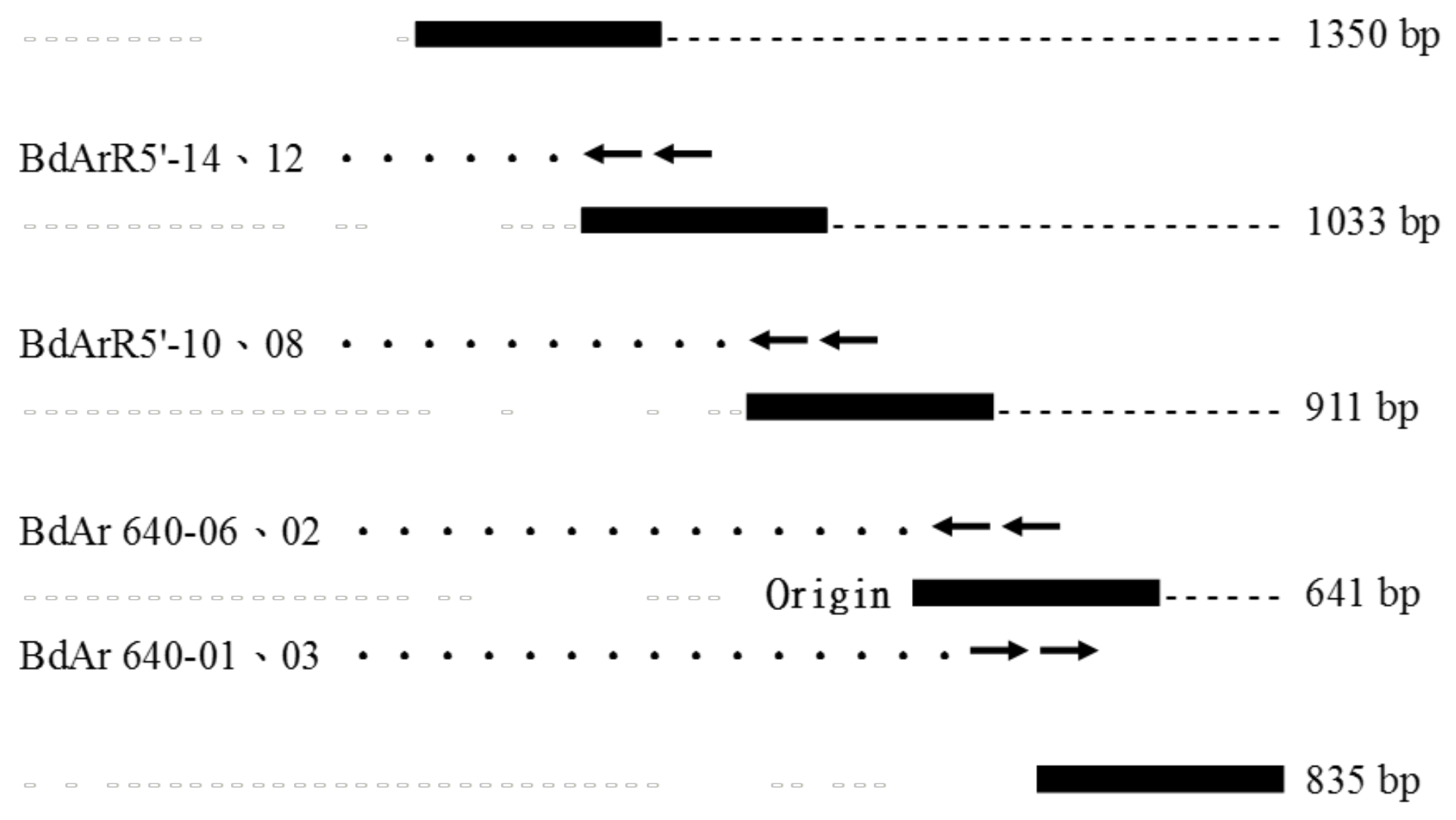 Insects 12 00319 g001