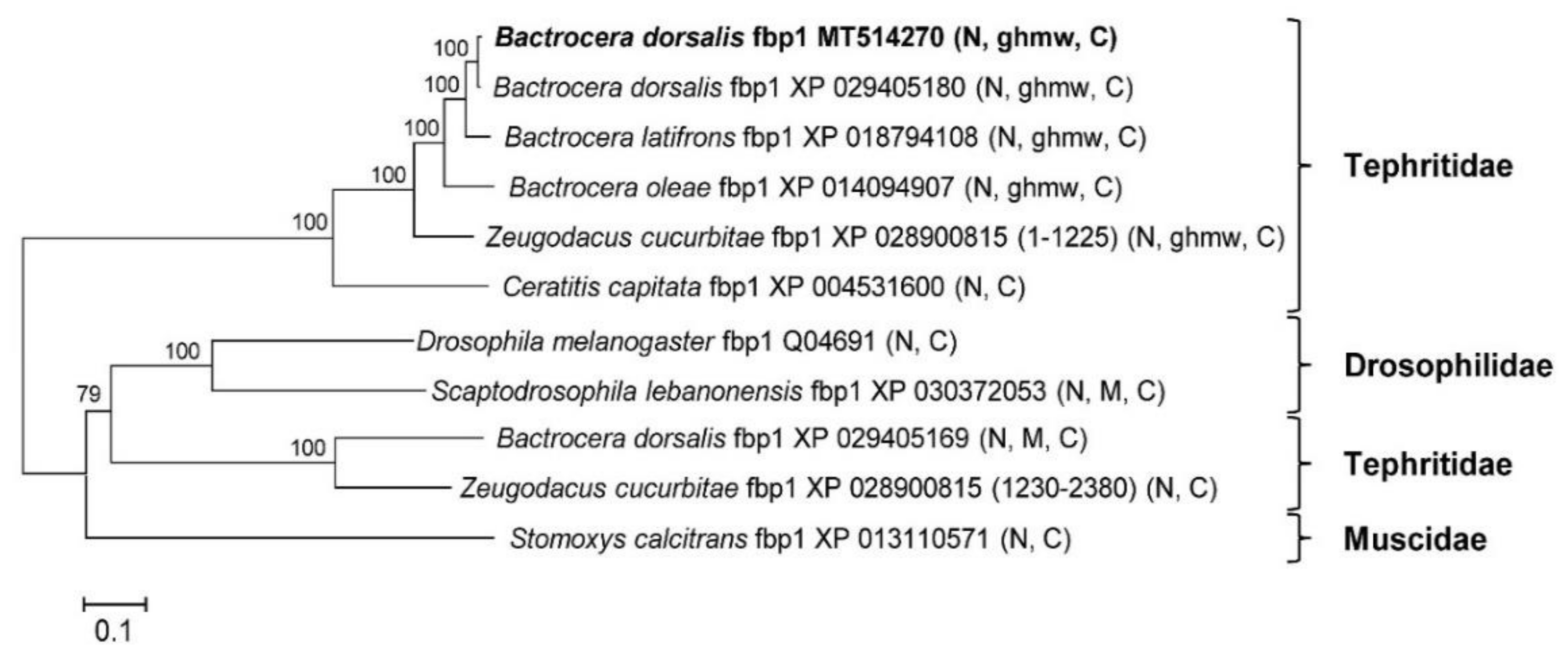 Insects 12 00319 g004