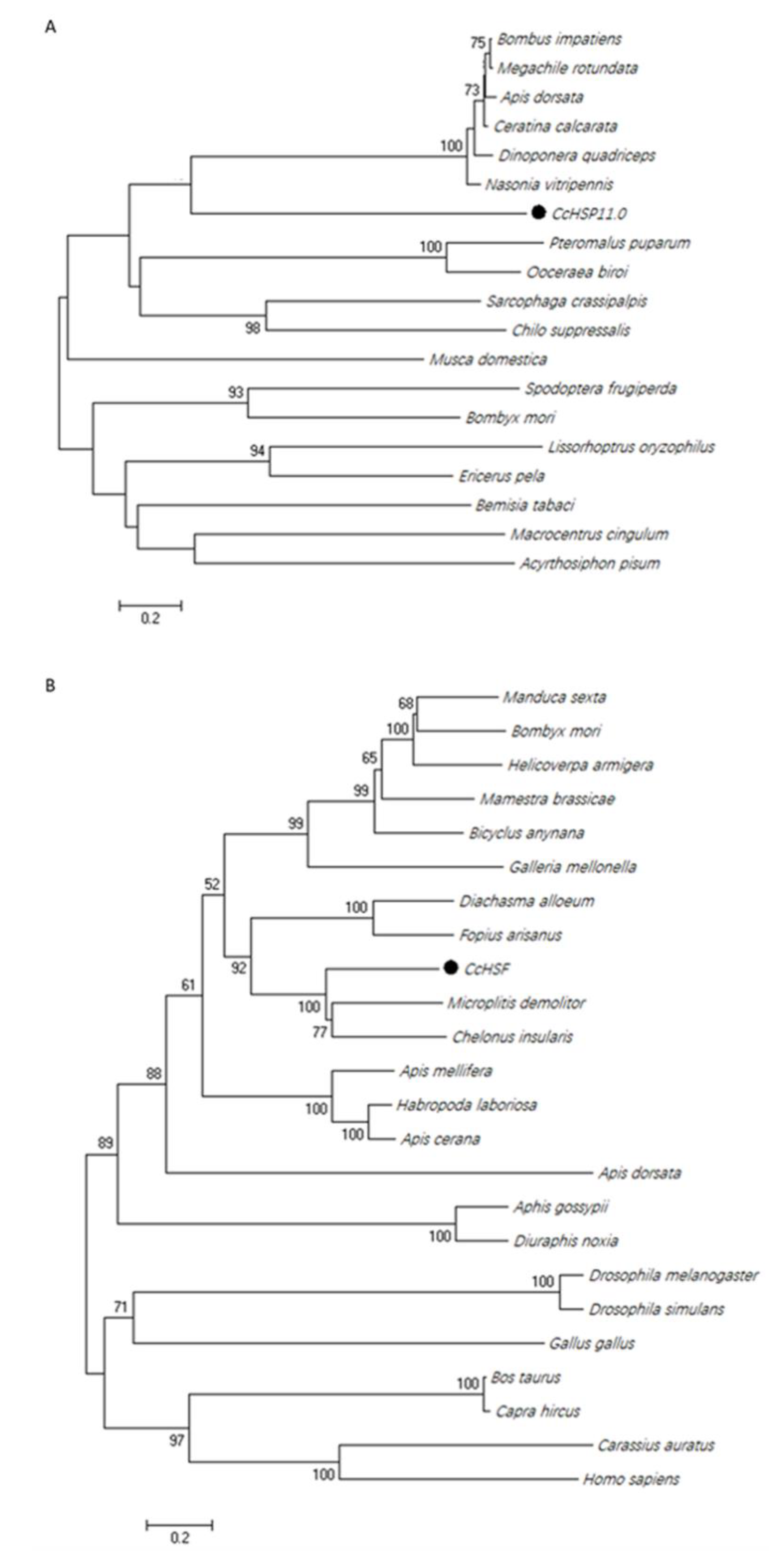 Insects 12 00322 g003