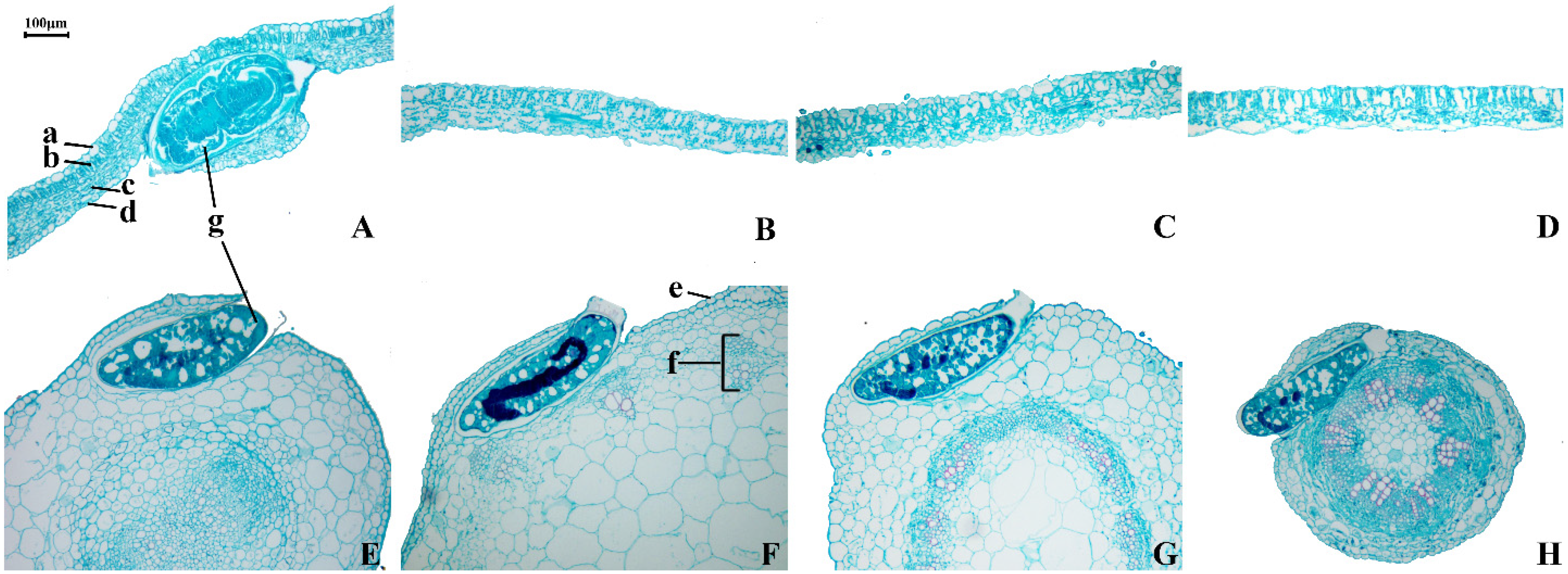 Insects 12 00326 g007