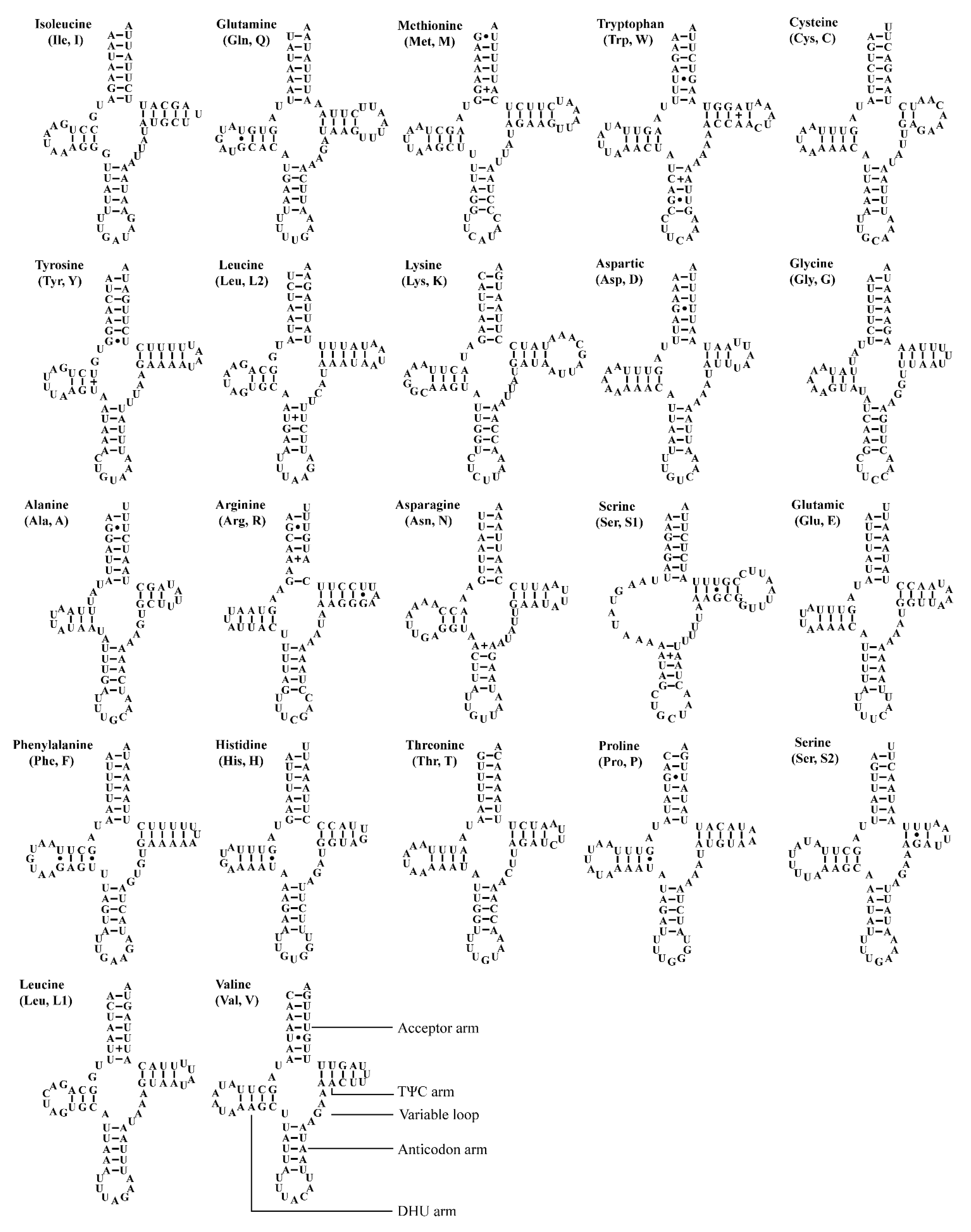 Insects 12 00338 g004