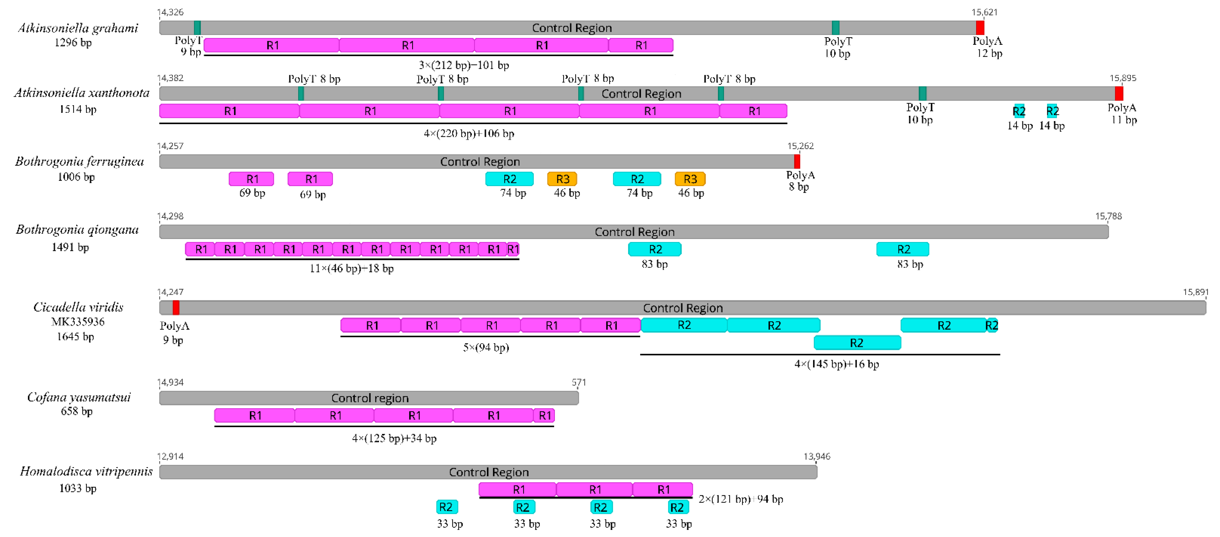 Insects 12 00338 g006