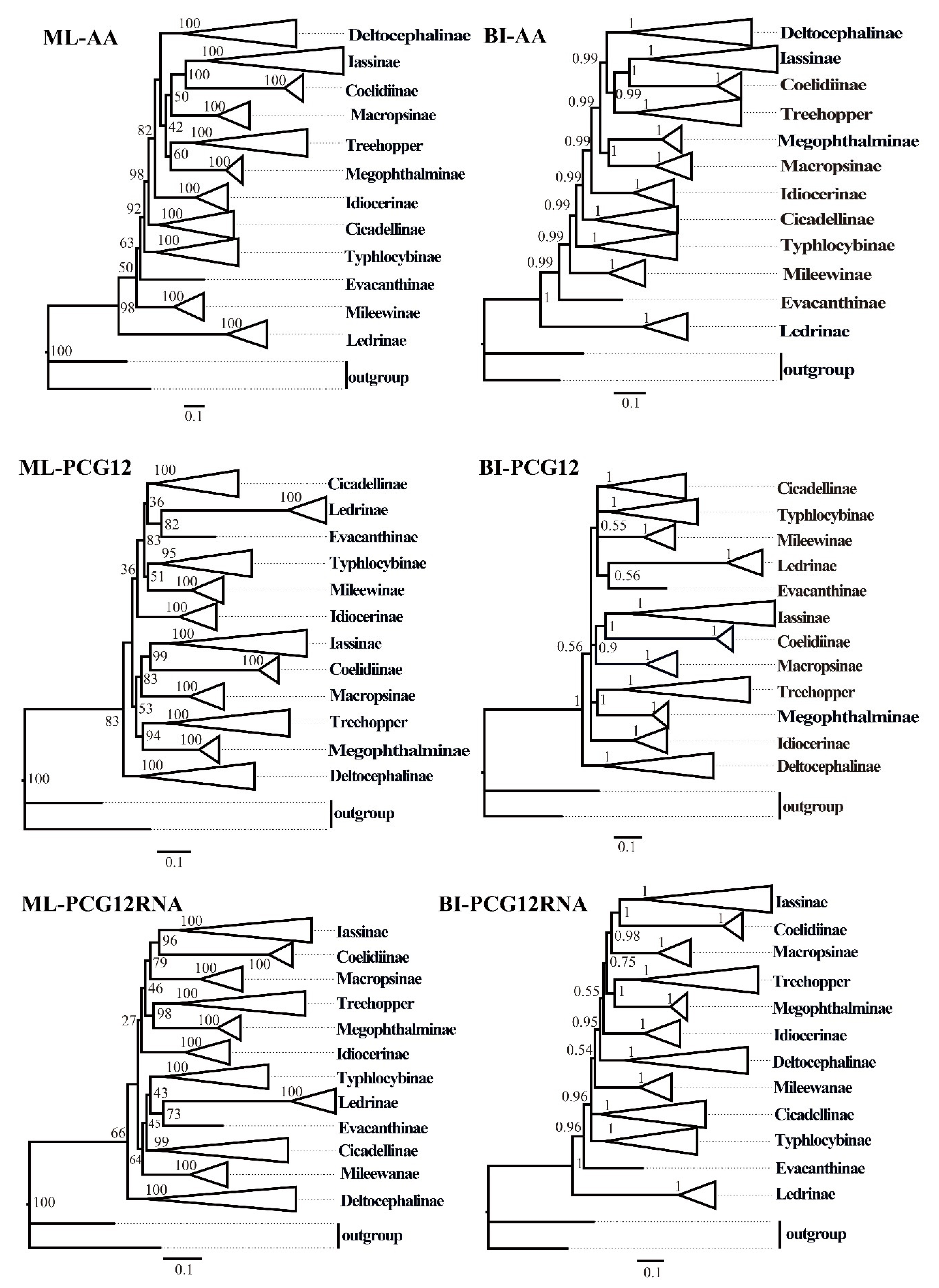 Insects 12 00338 g007