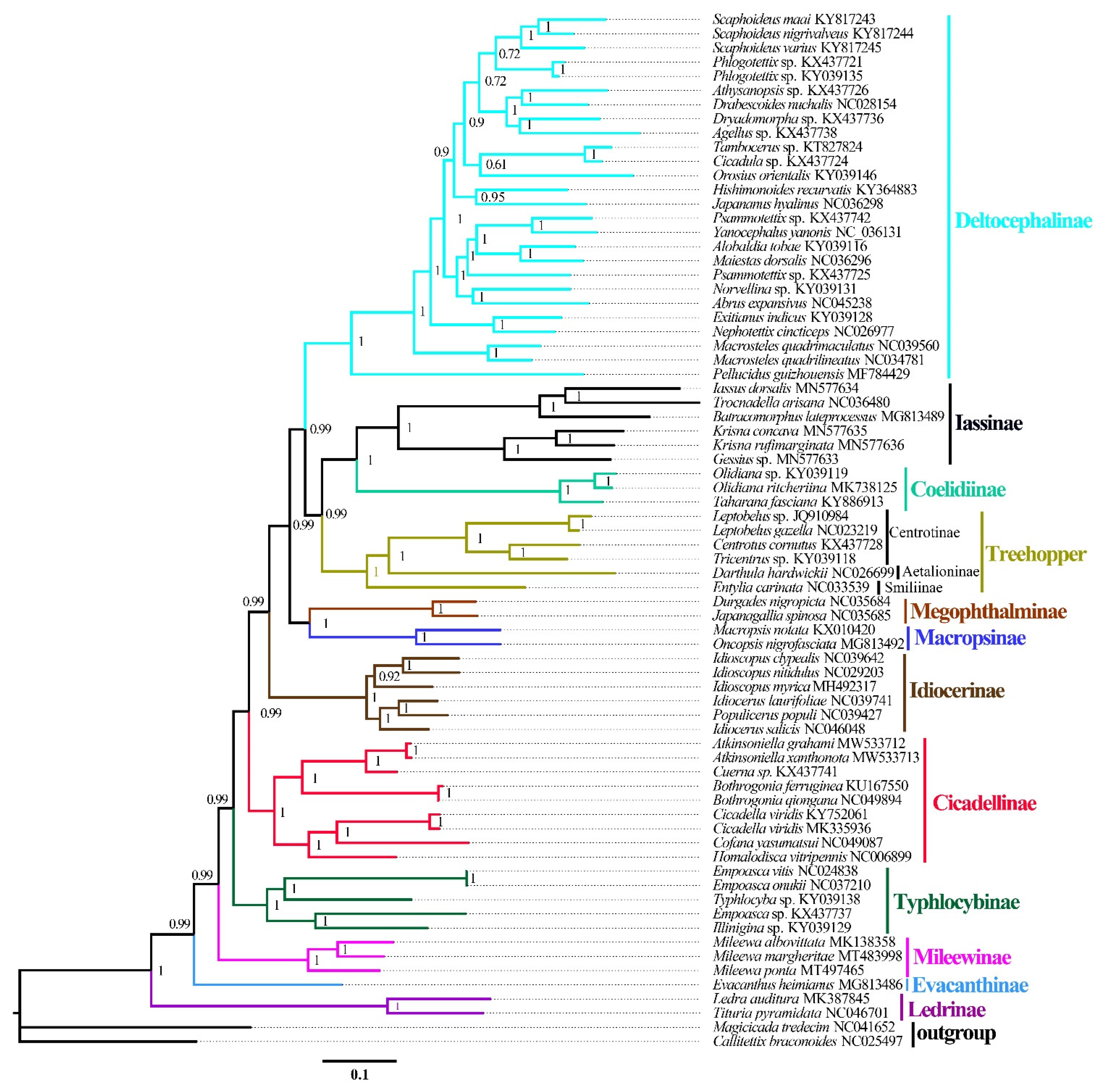 Insects 12 00338 g008