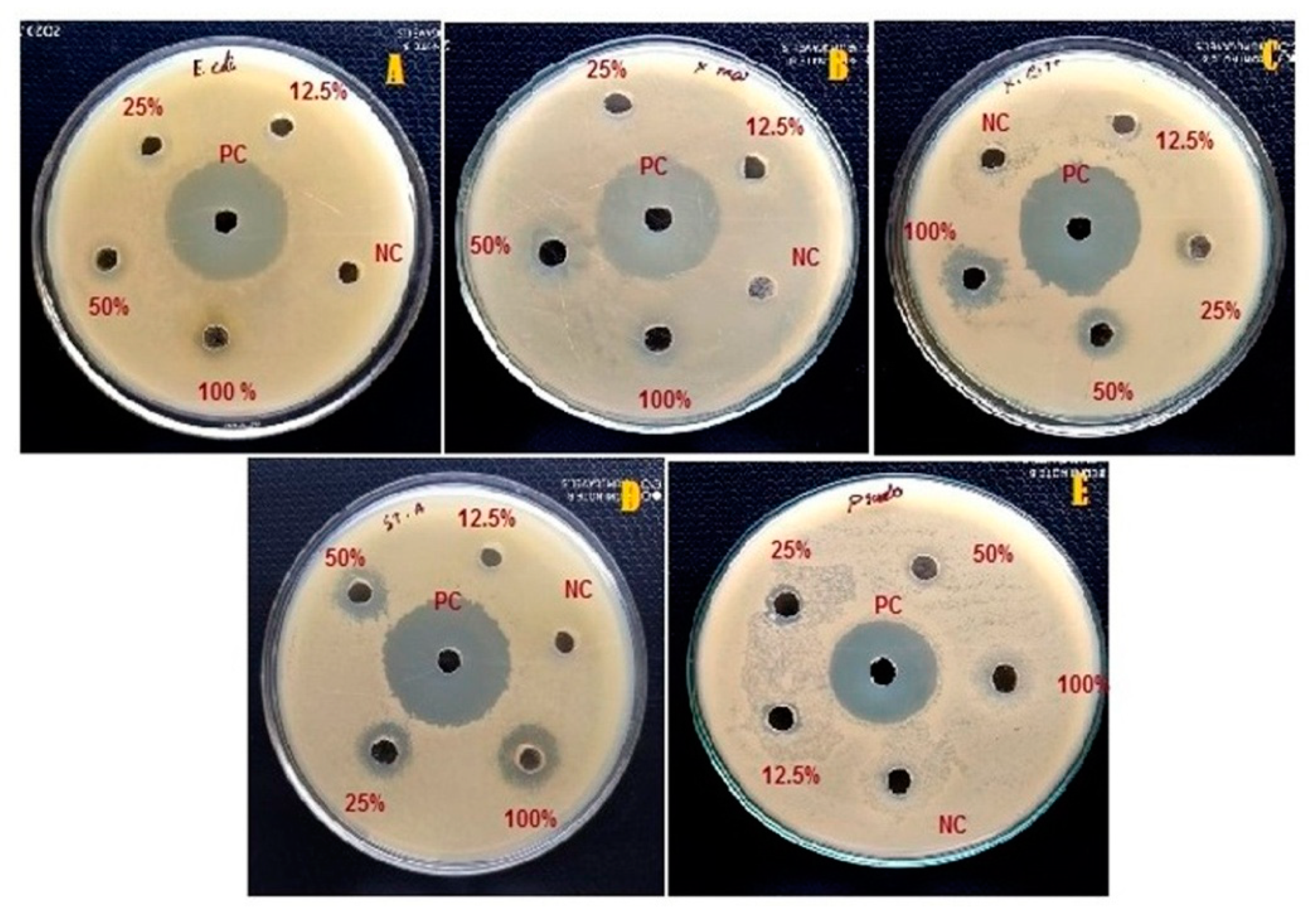 Insects 12 00340 g005