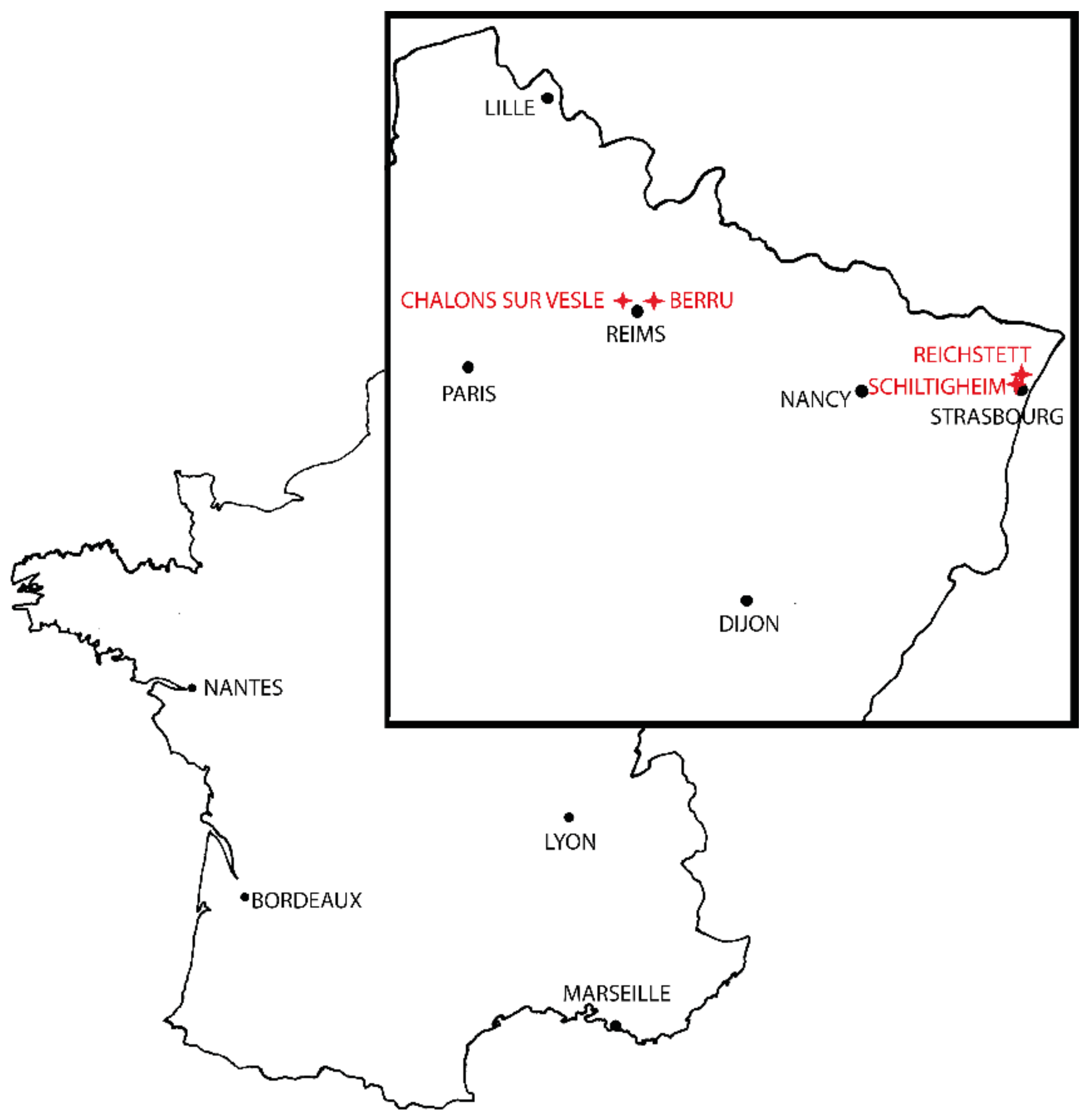 Insects 12 00341 g001