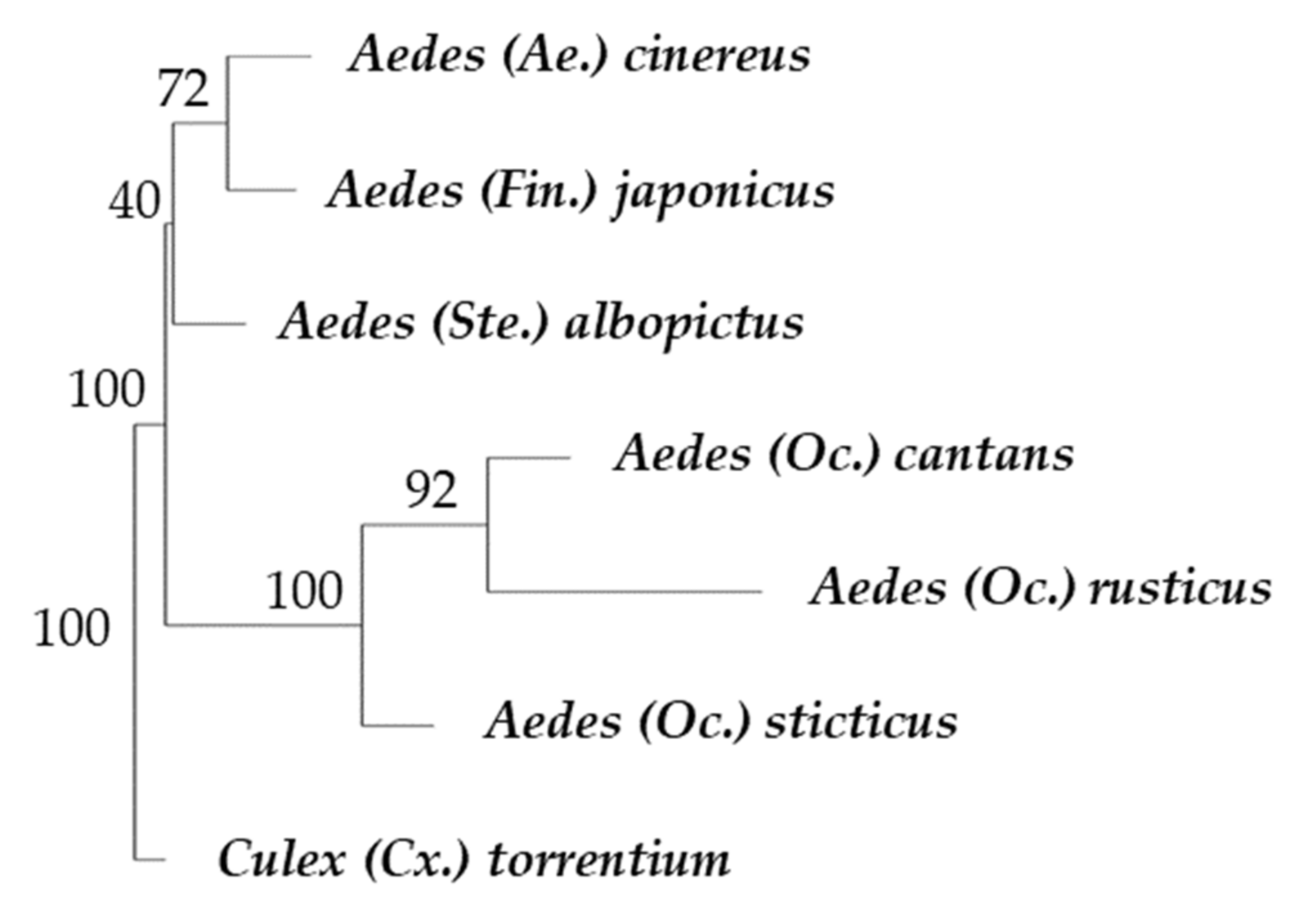 Insects 12 00341 g006
