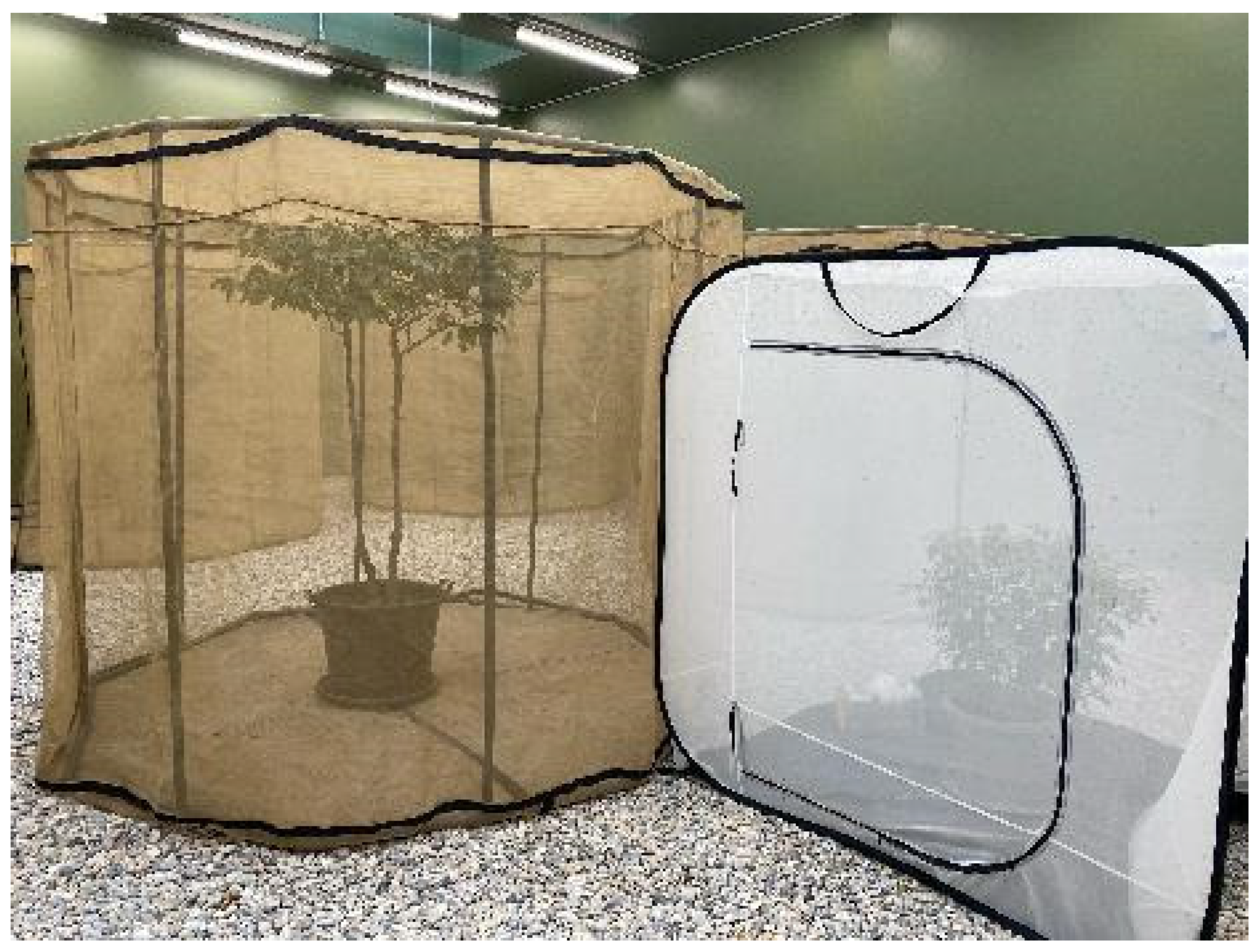 Insects 12 00346 g003 Insects 12 00346 g003