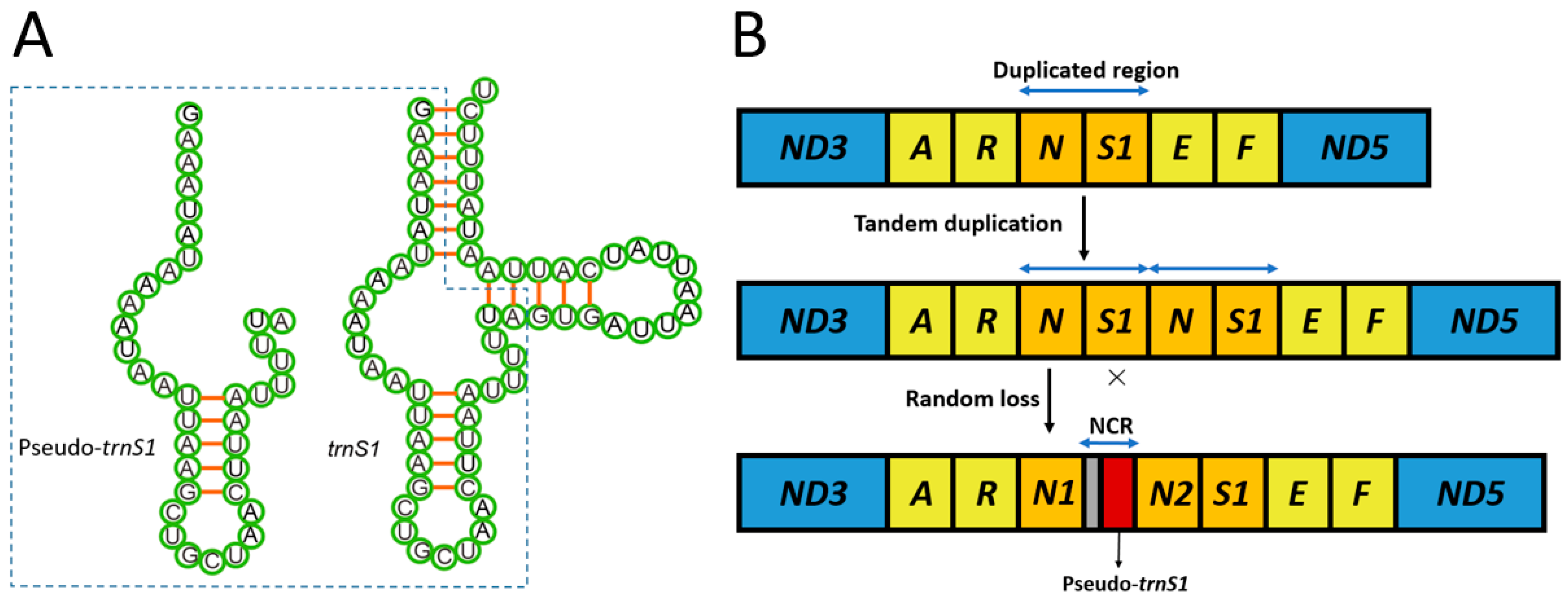 Insects 12 00348 g004