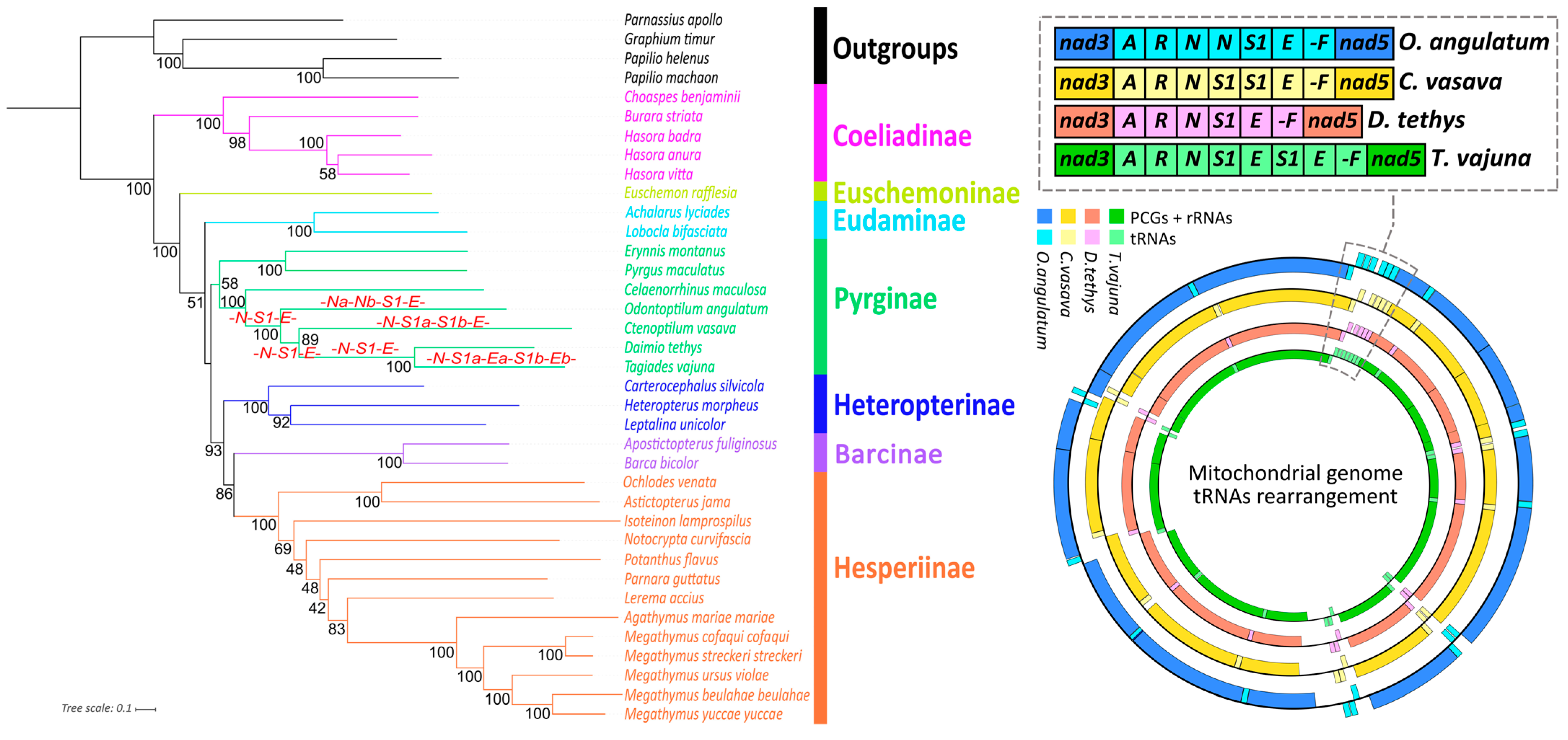 Insects 12 00348 g005