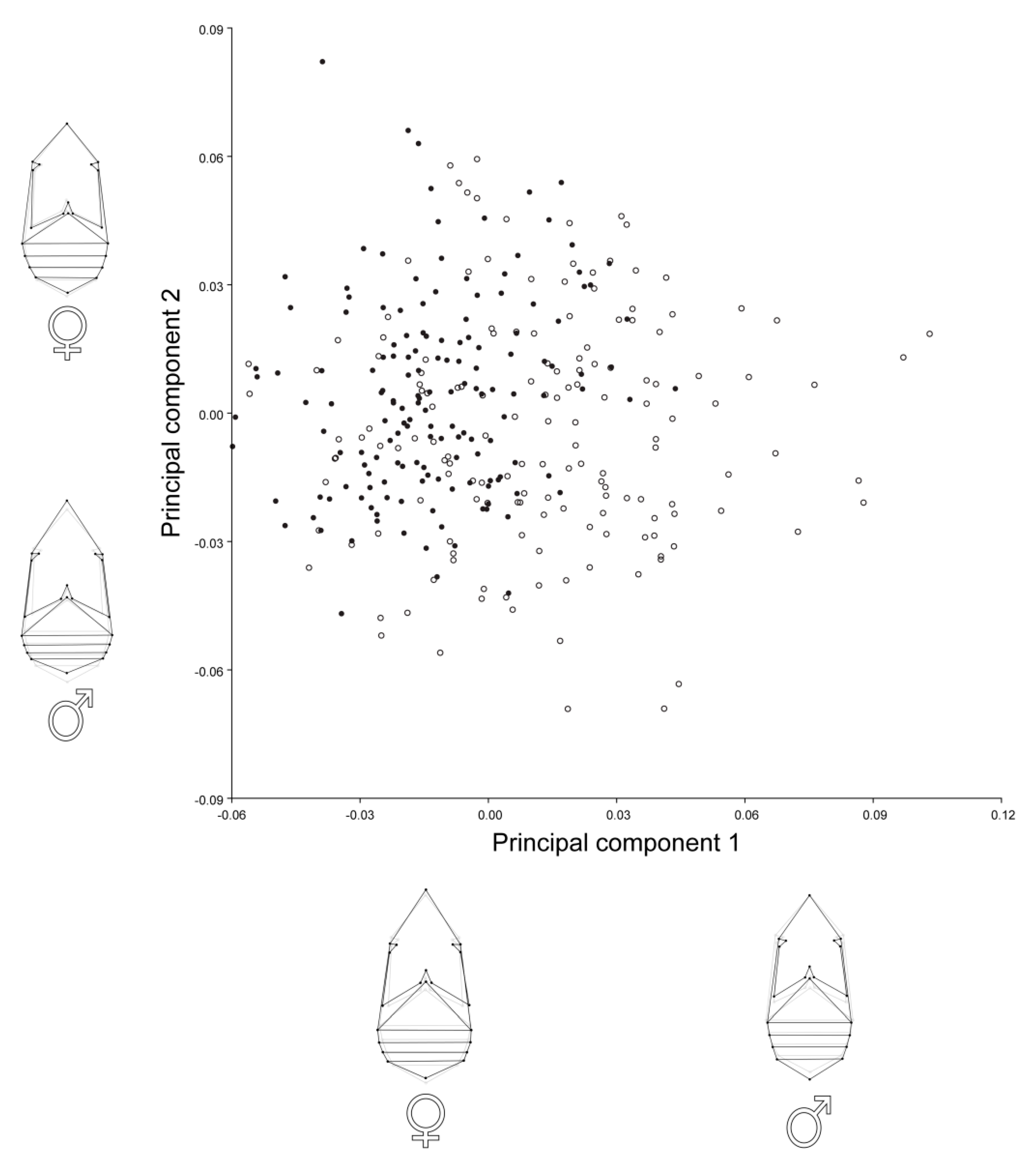 Insects 12 00350 g002