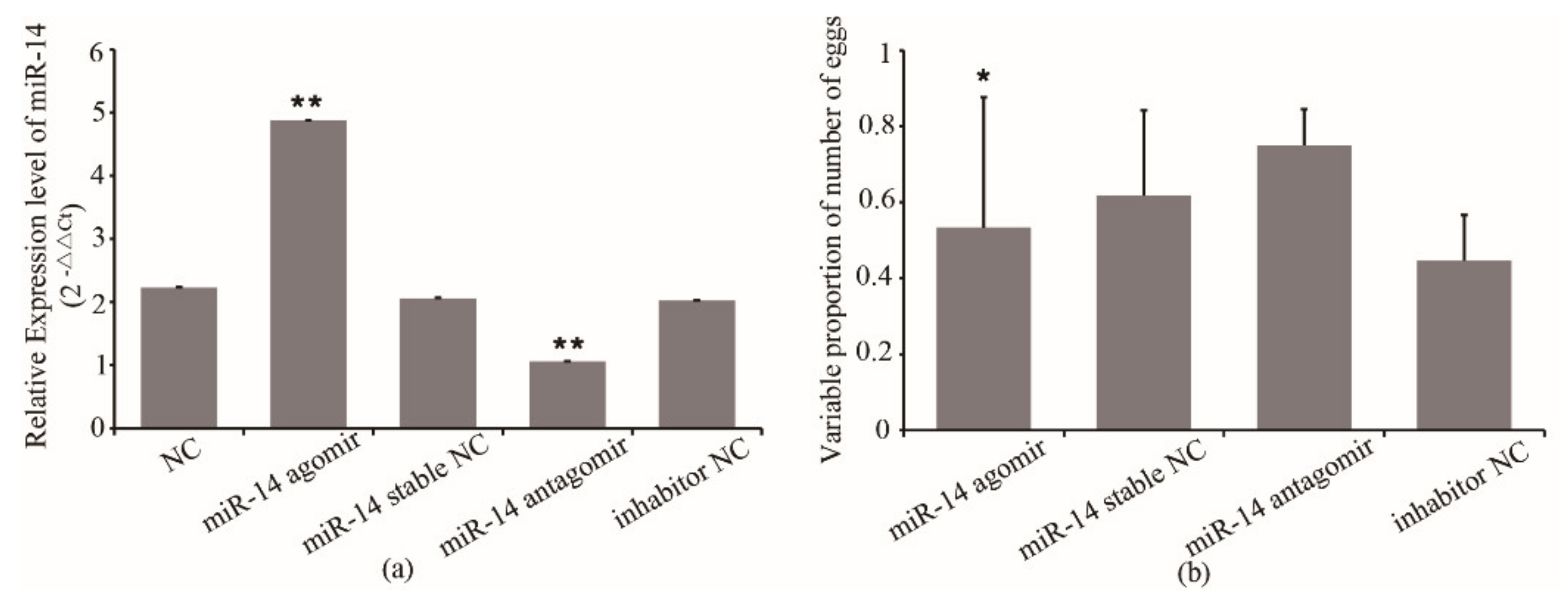 Insects 12 00351 g001