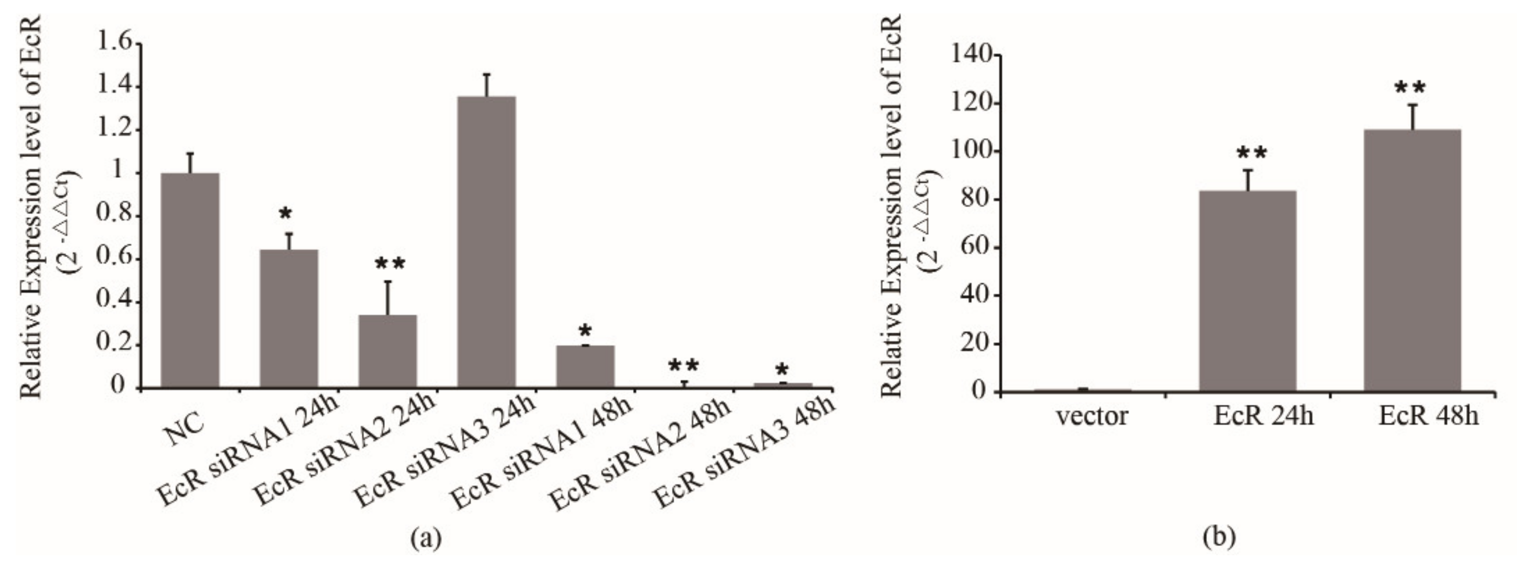 Insects 12 00351 g002