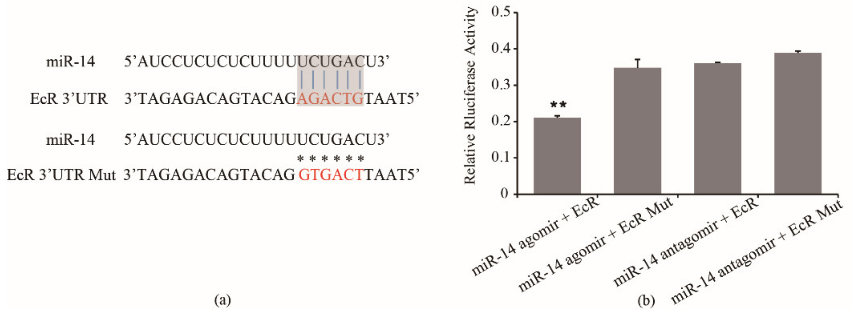 Insects 12 00351 g004