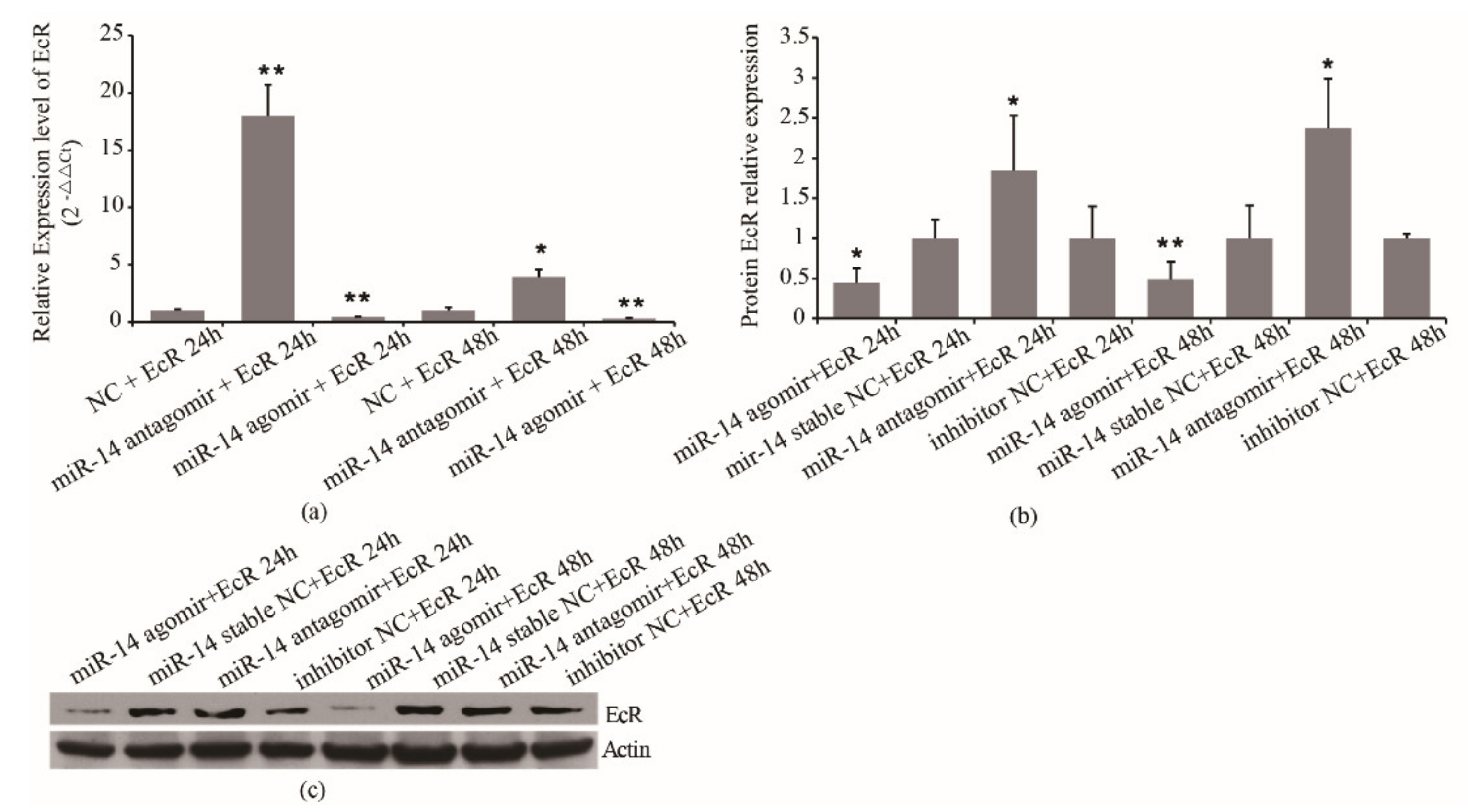 Insects 12 00351 g005