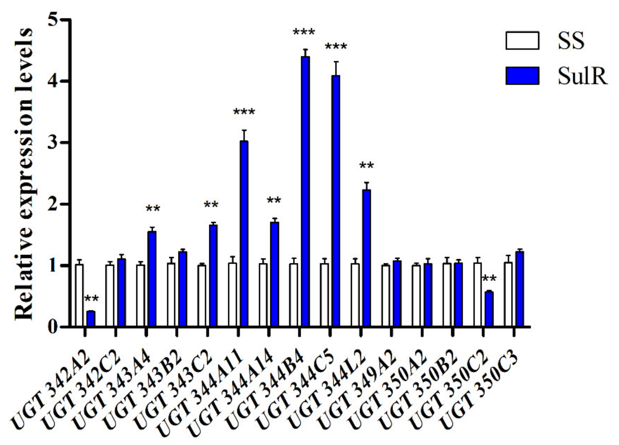 Insects 12 00356 g001