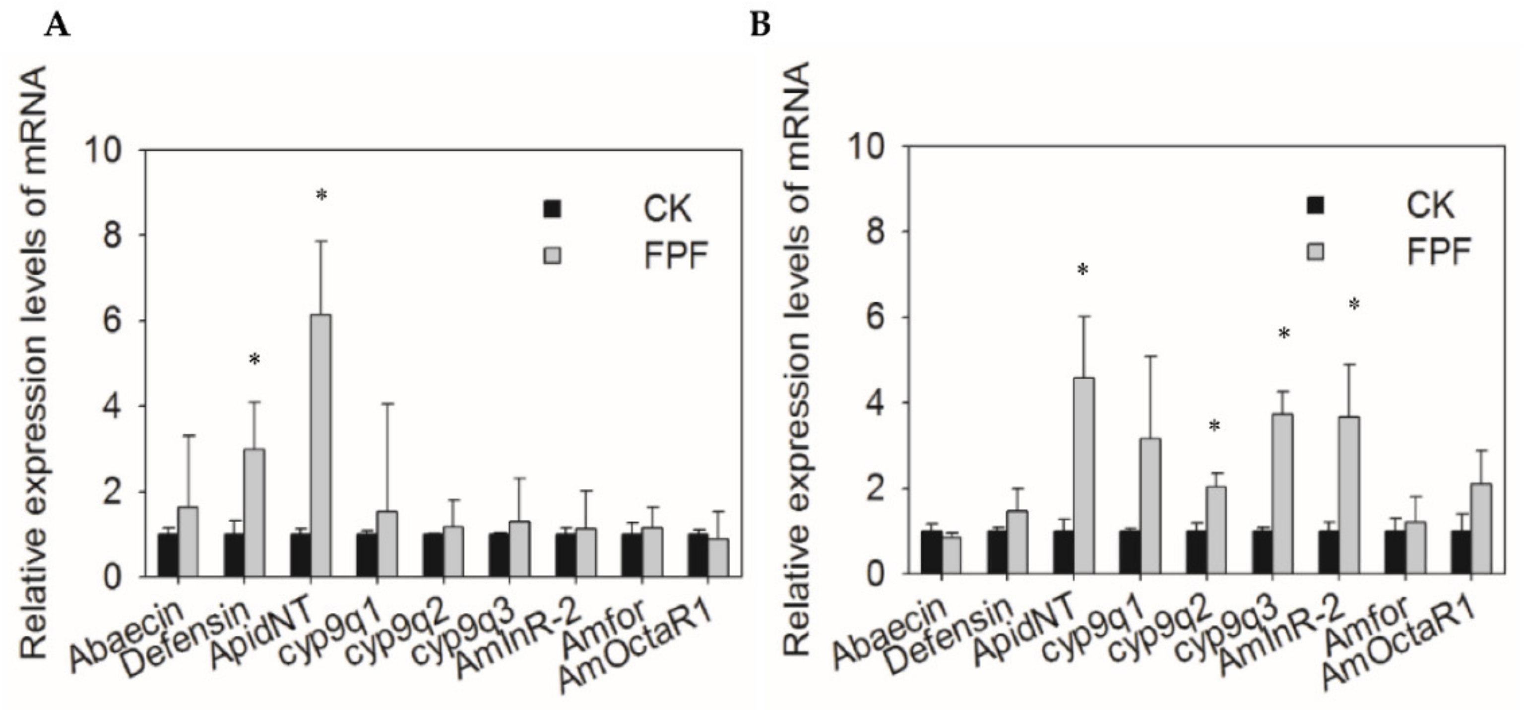 Insects 12 00357 g004