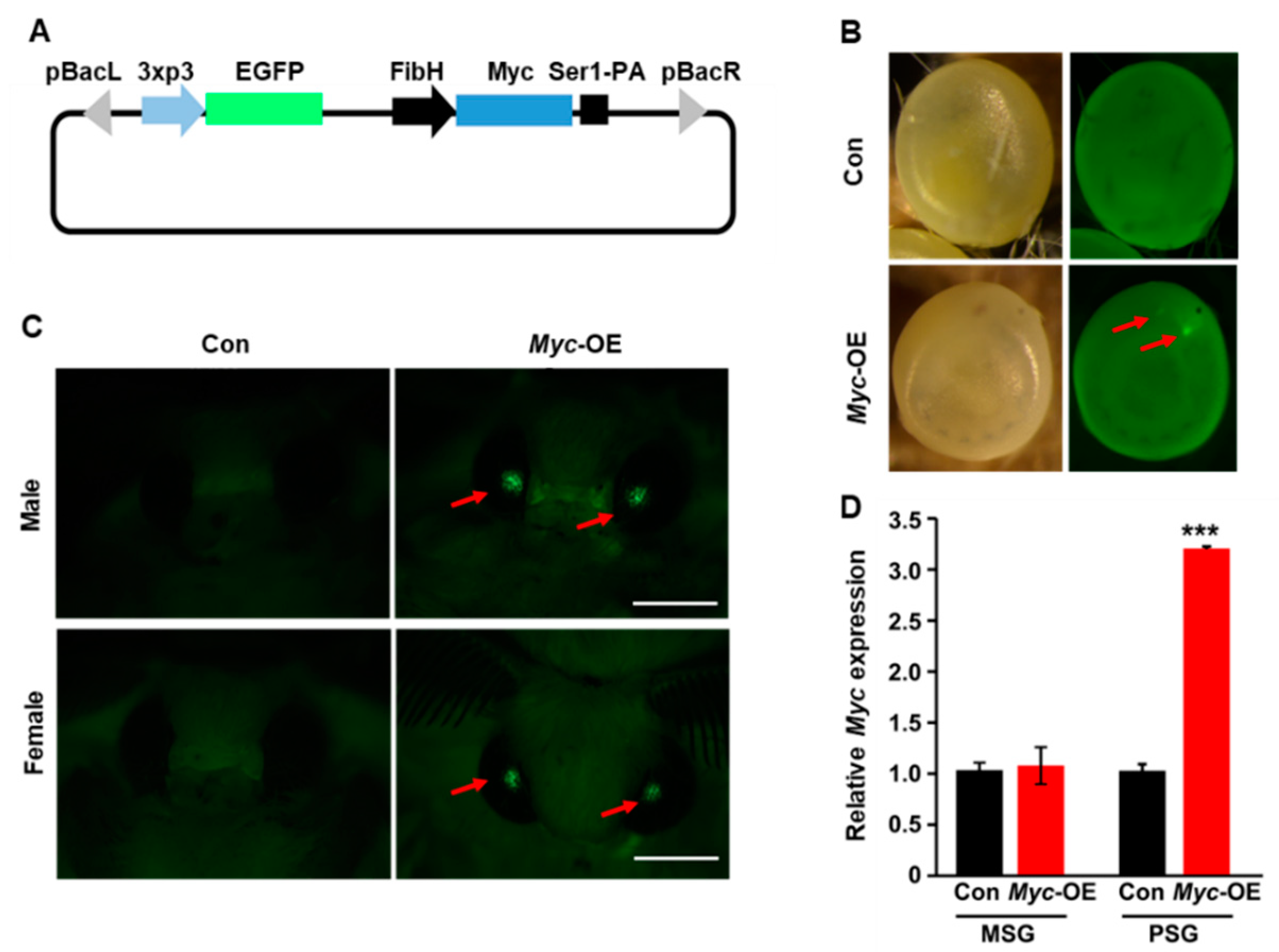 Insects 12 00361 g001