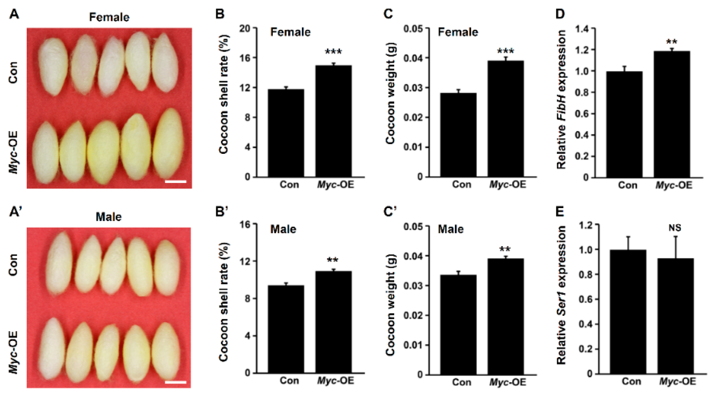 Insects 12 00361 g002