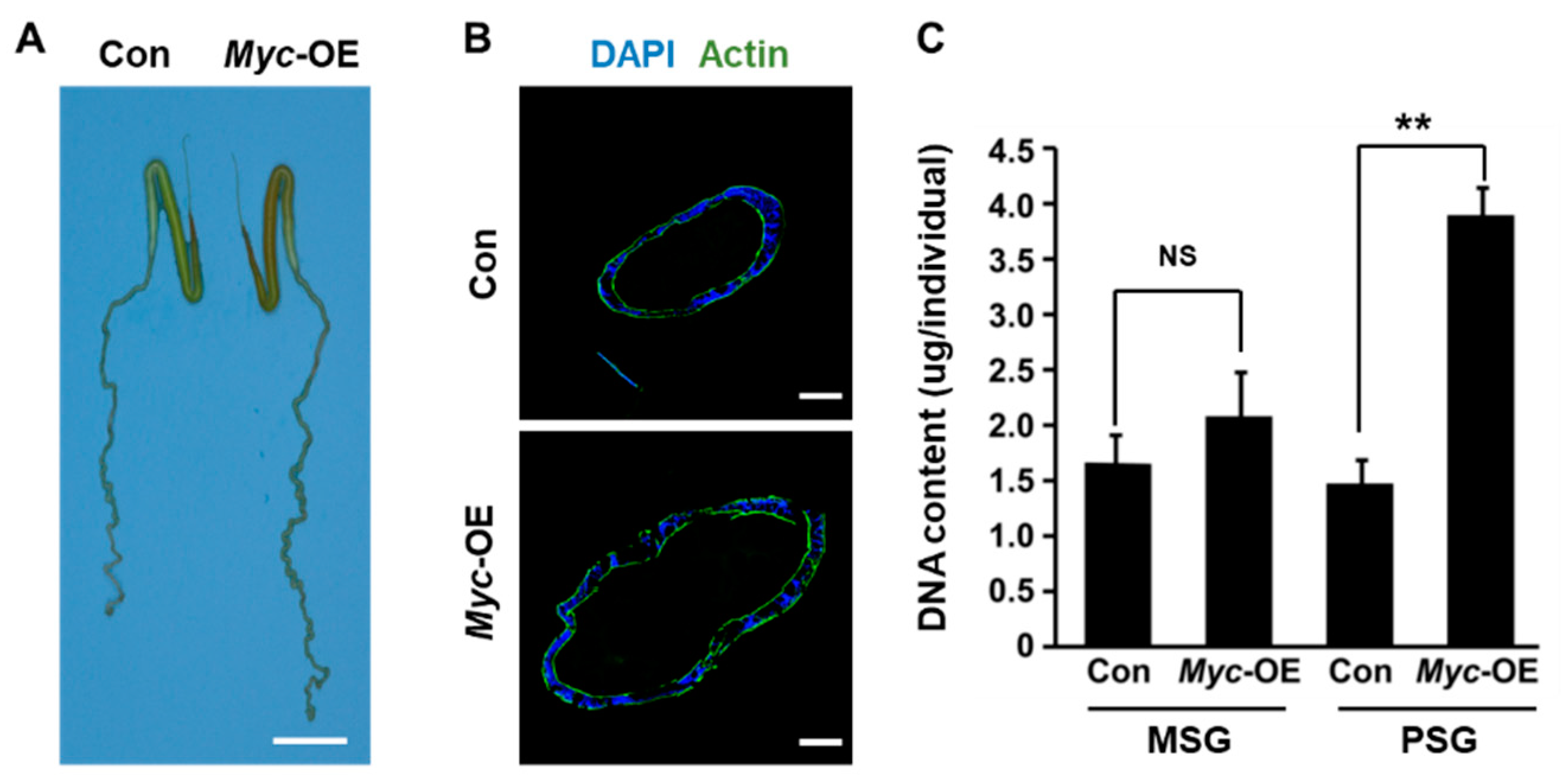 Insects 12 00361 g003