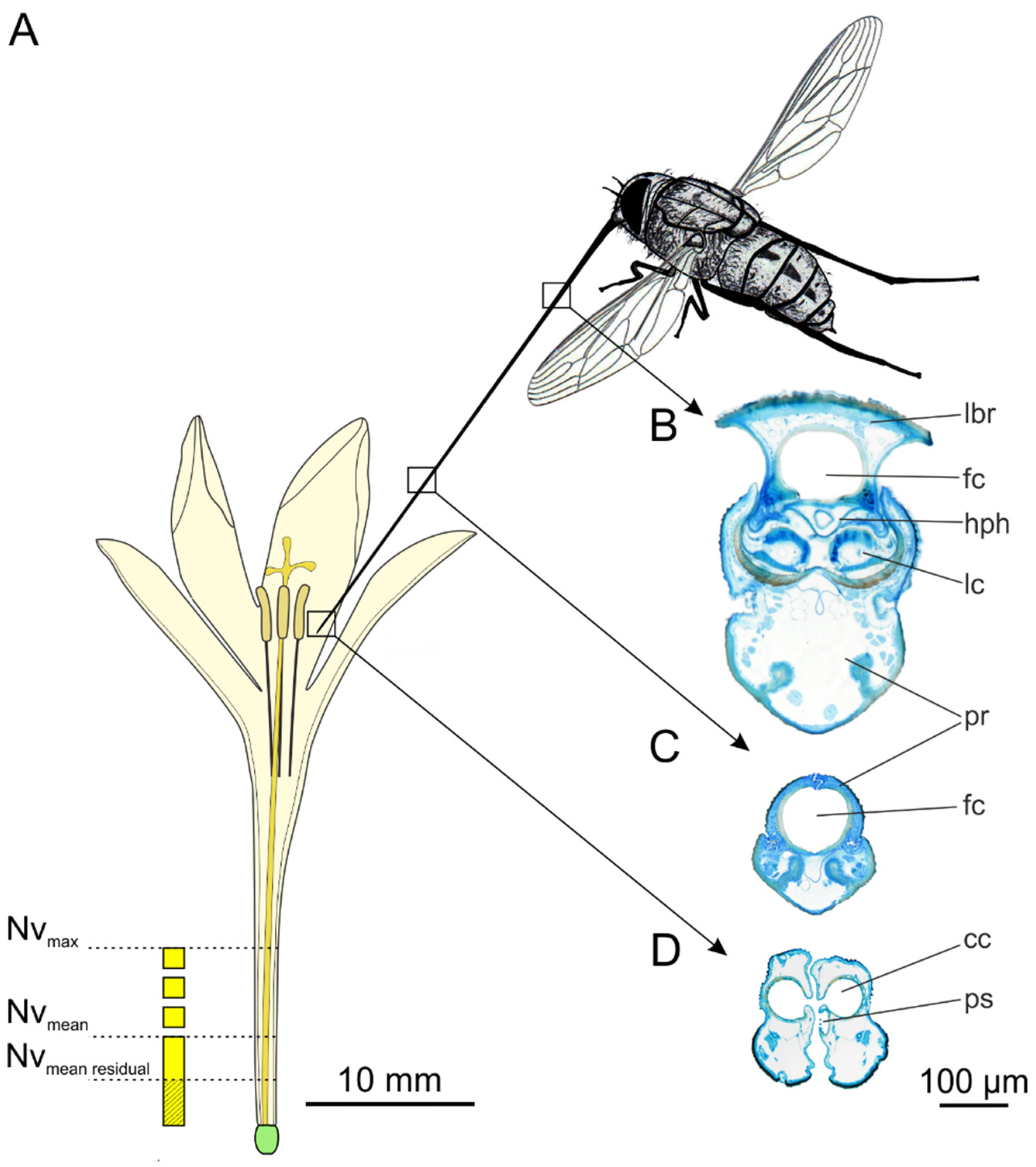 Insects 12 00371 g003