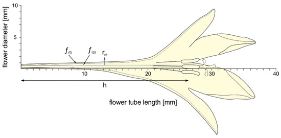Insects 12 00371 g0a1