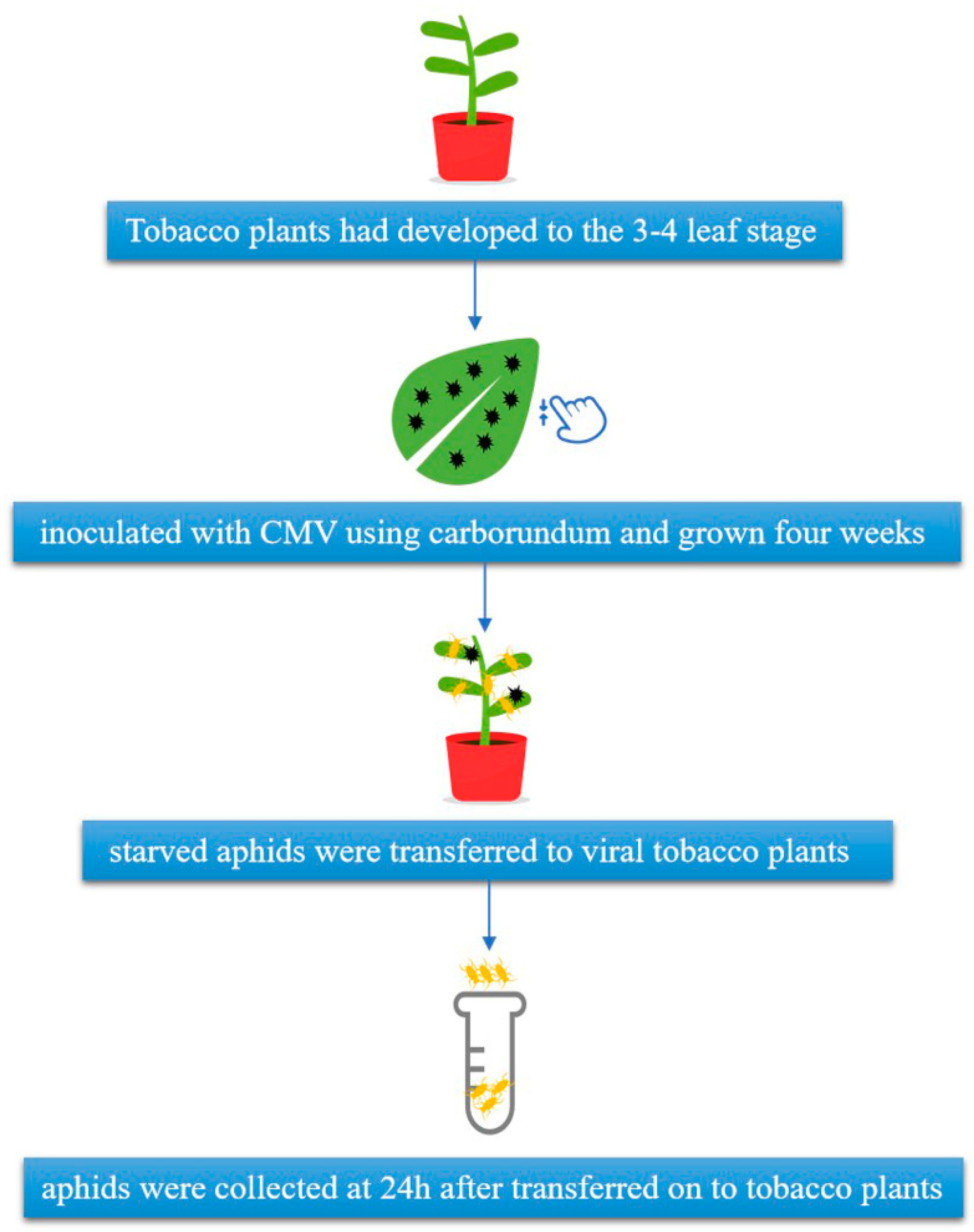 Insects 12 00372 g001