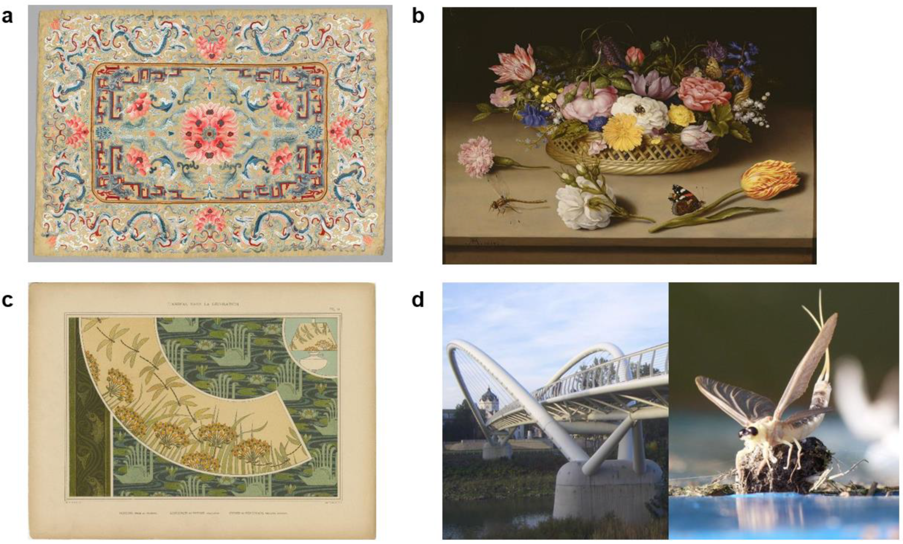 Insects 12 00377 g001