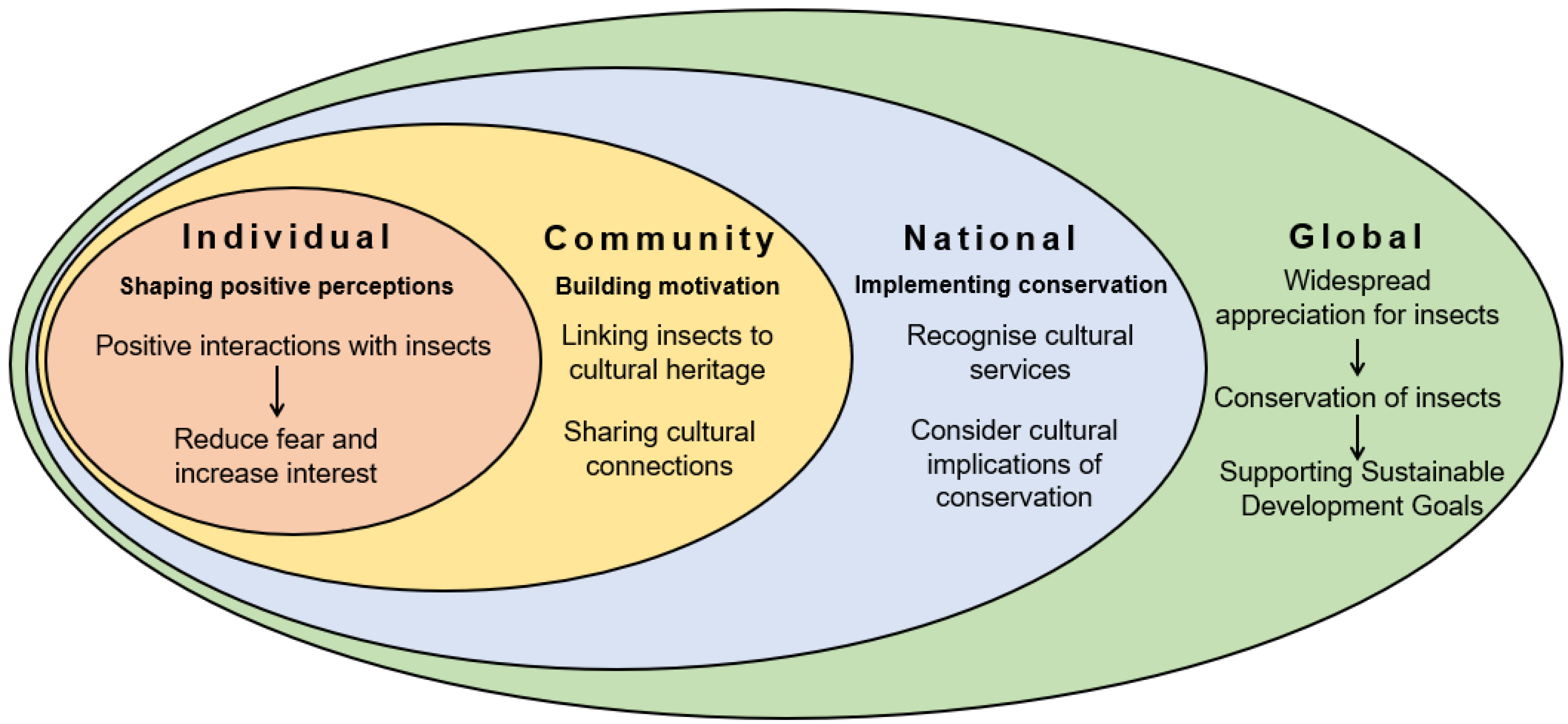 Insects 12 00377 g002