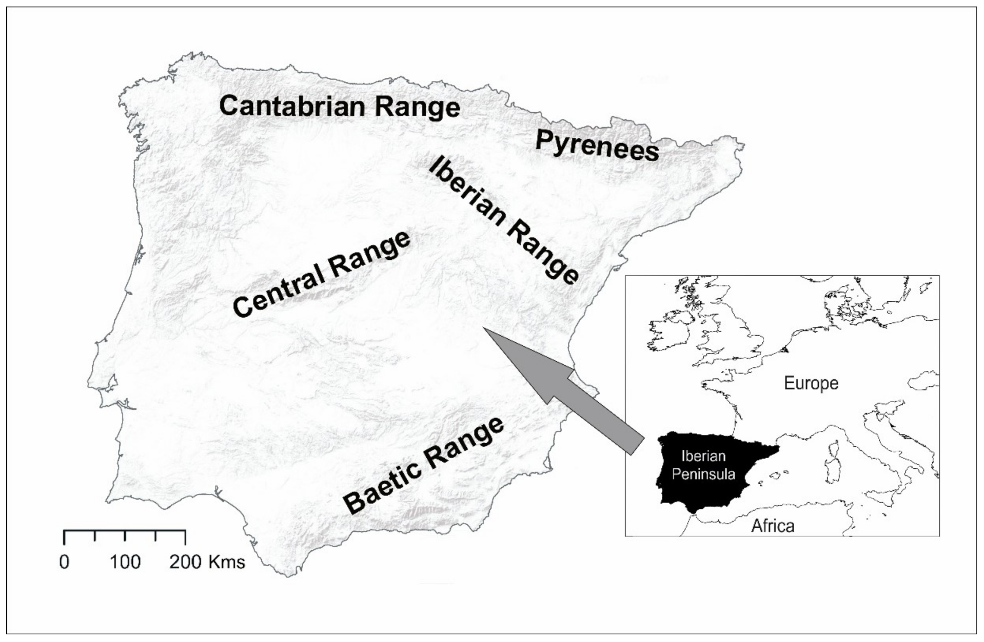 Insects 12 00392 g001