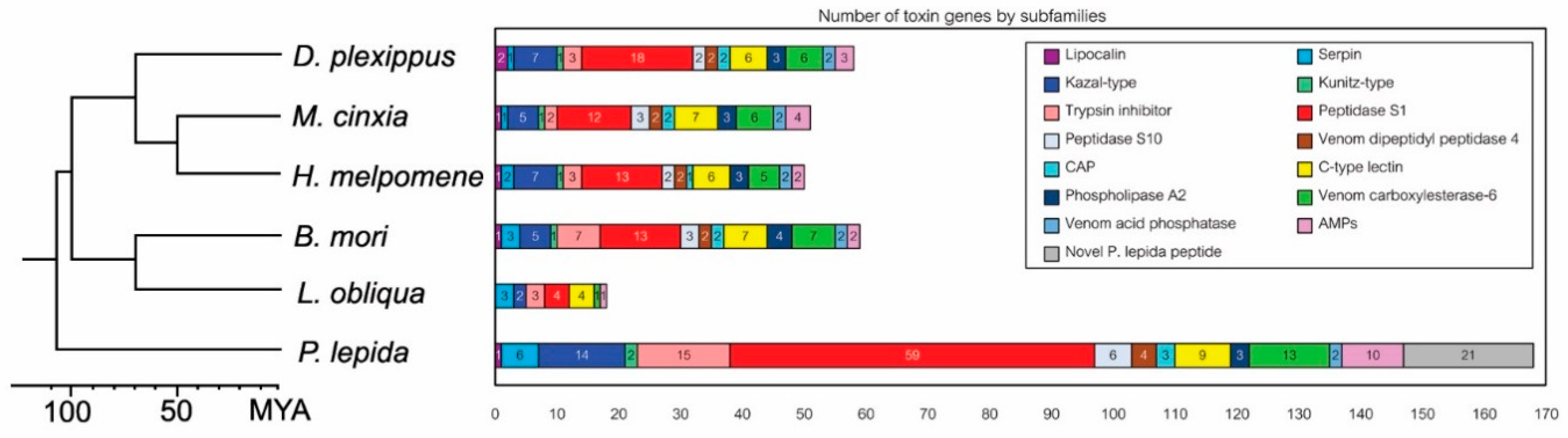 Insects 12 00396 g004