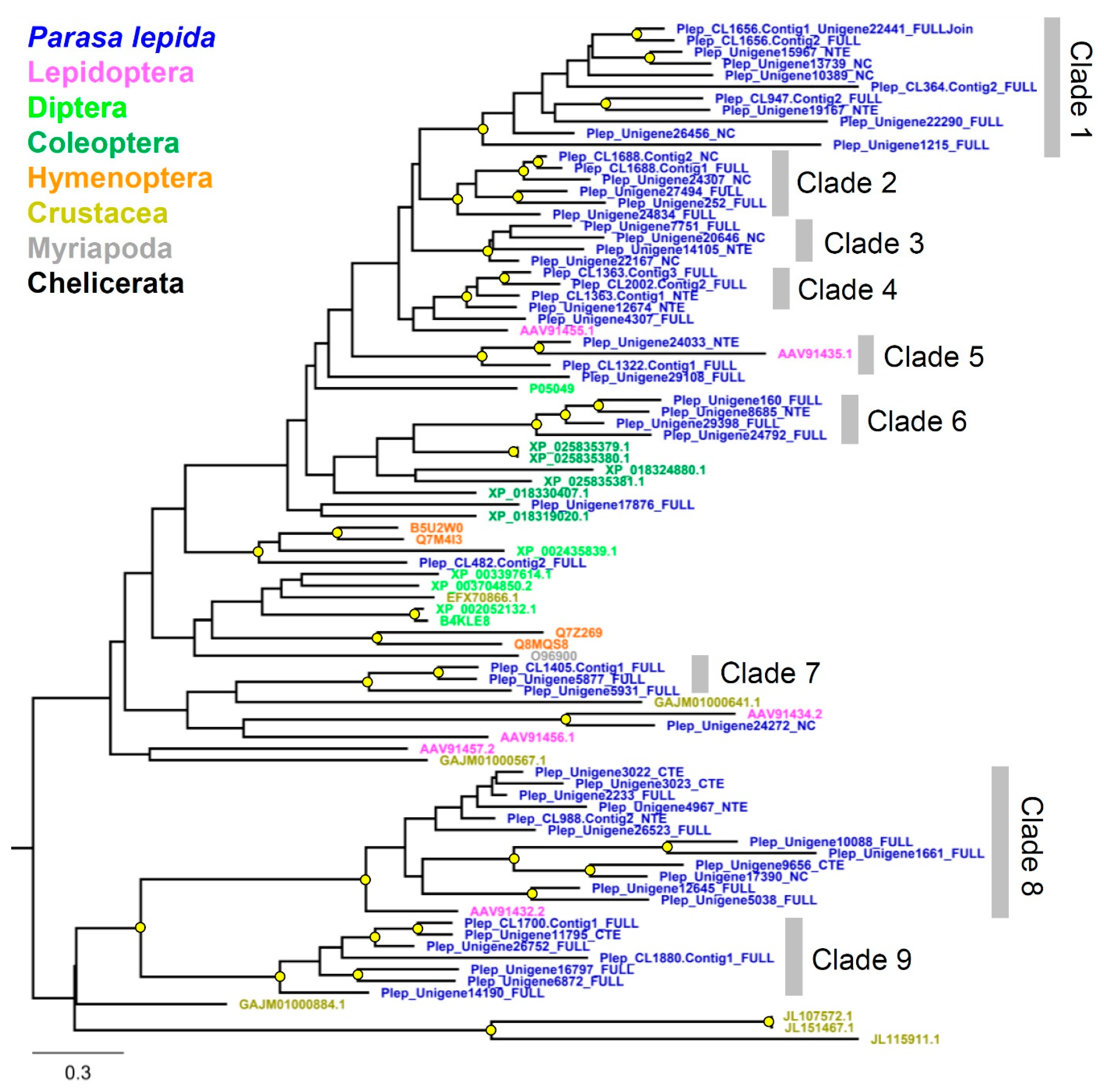 Insects 12 00396 g005