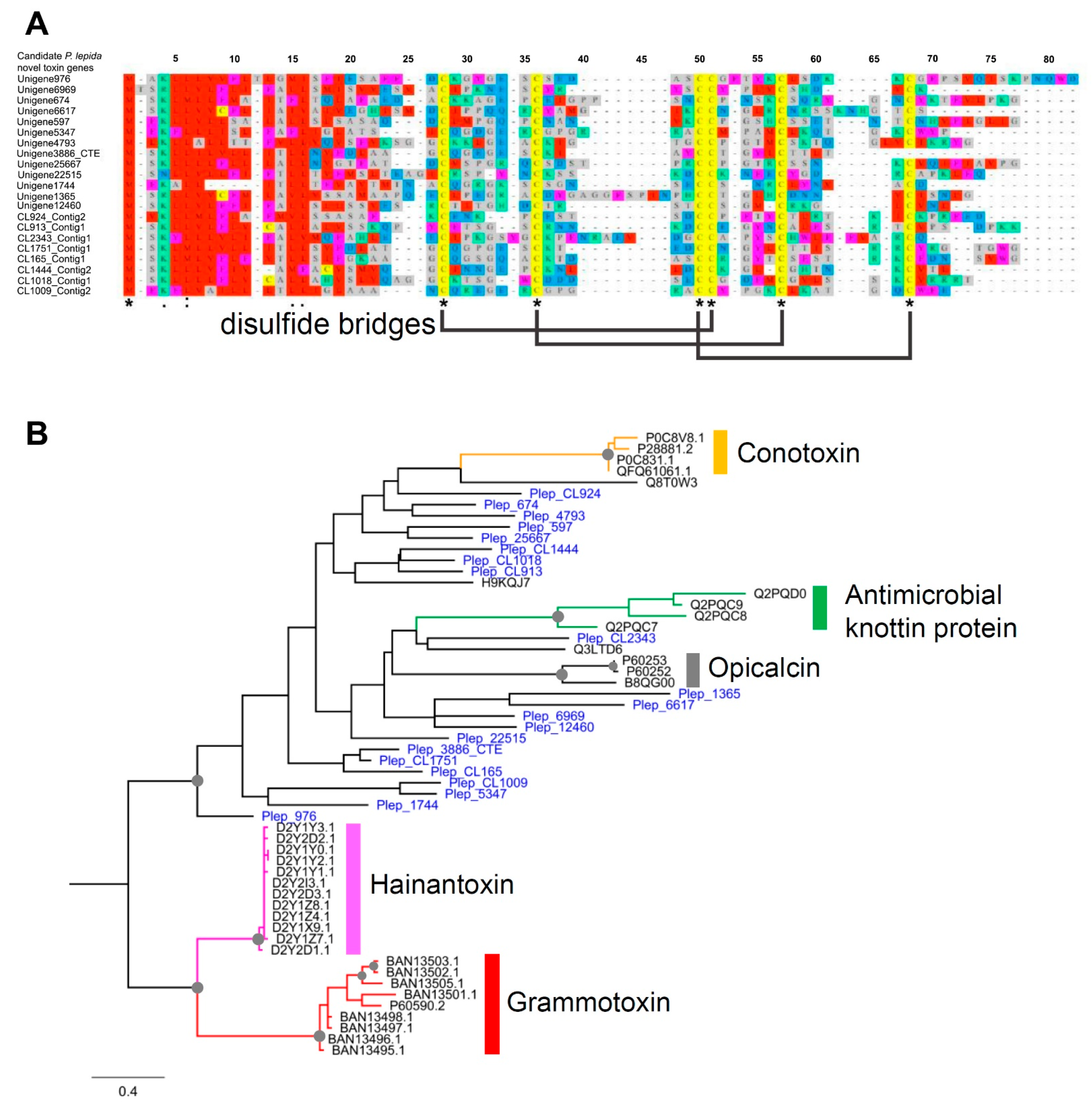 Insects 12 00396 g007