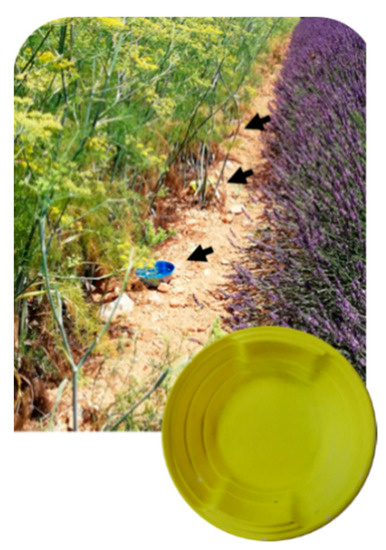 Insects 12 00404 g0a1