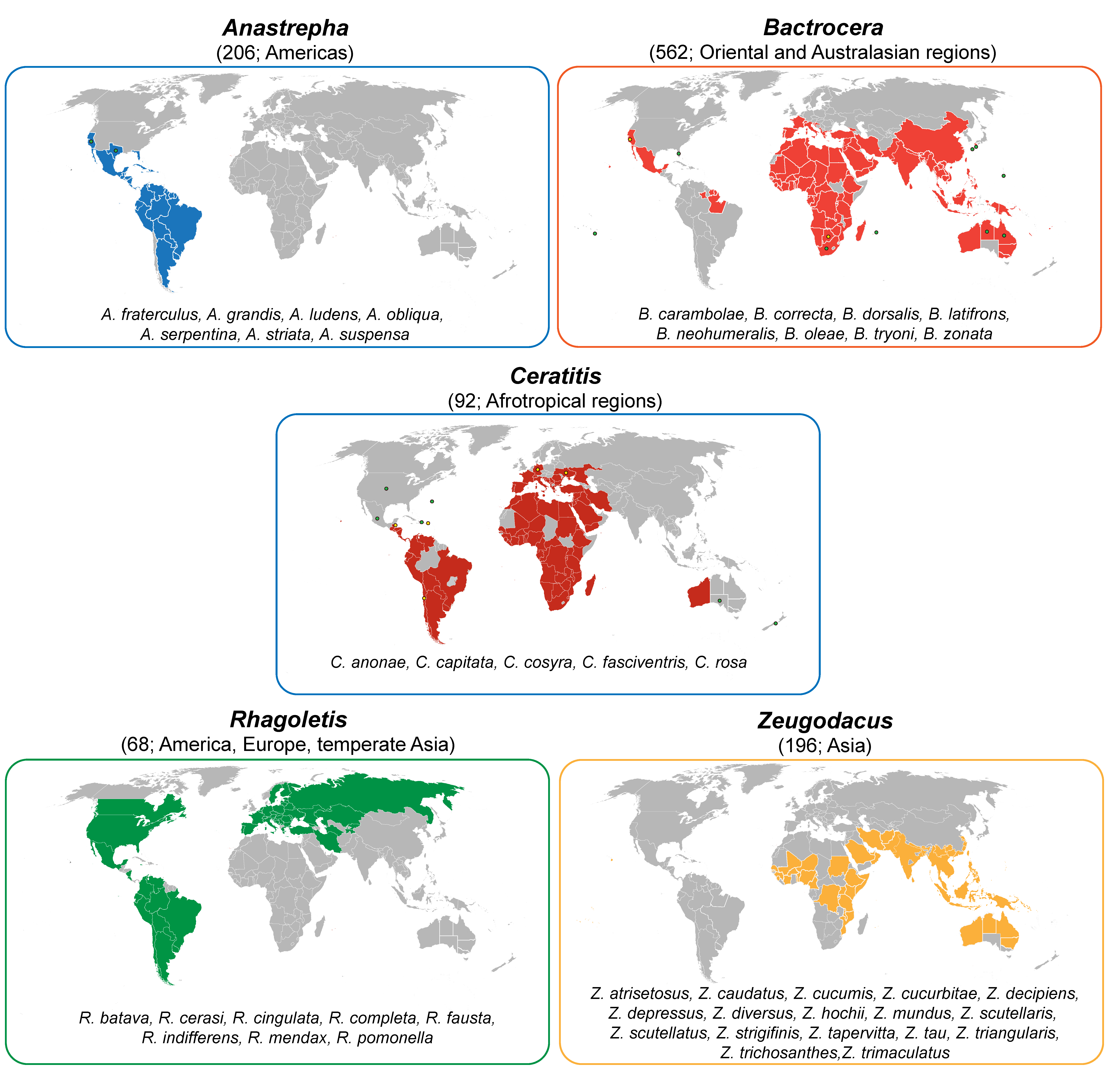 Insects 12 00408 g001