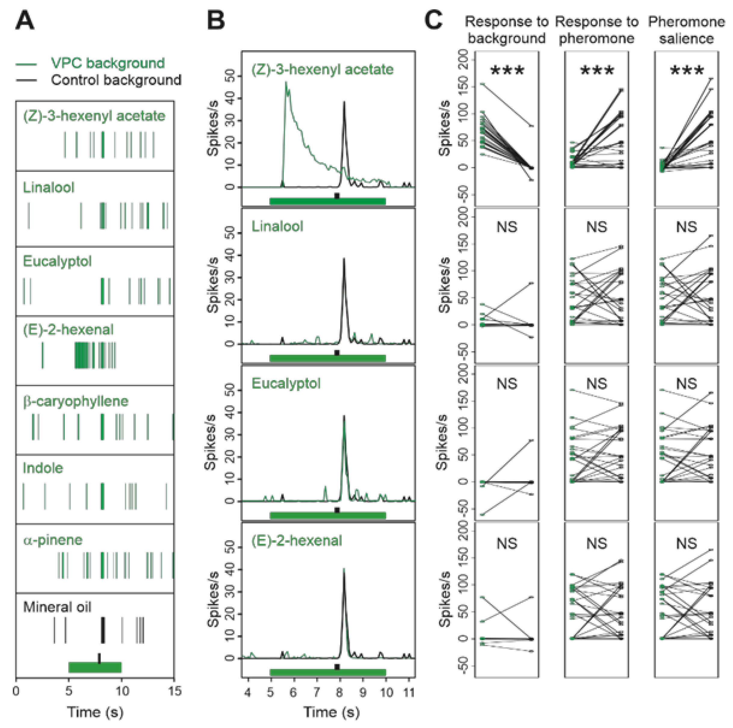 Insects 12 00409 g004