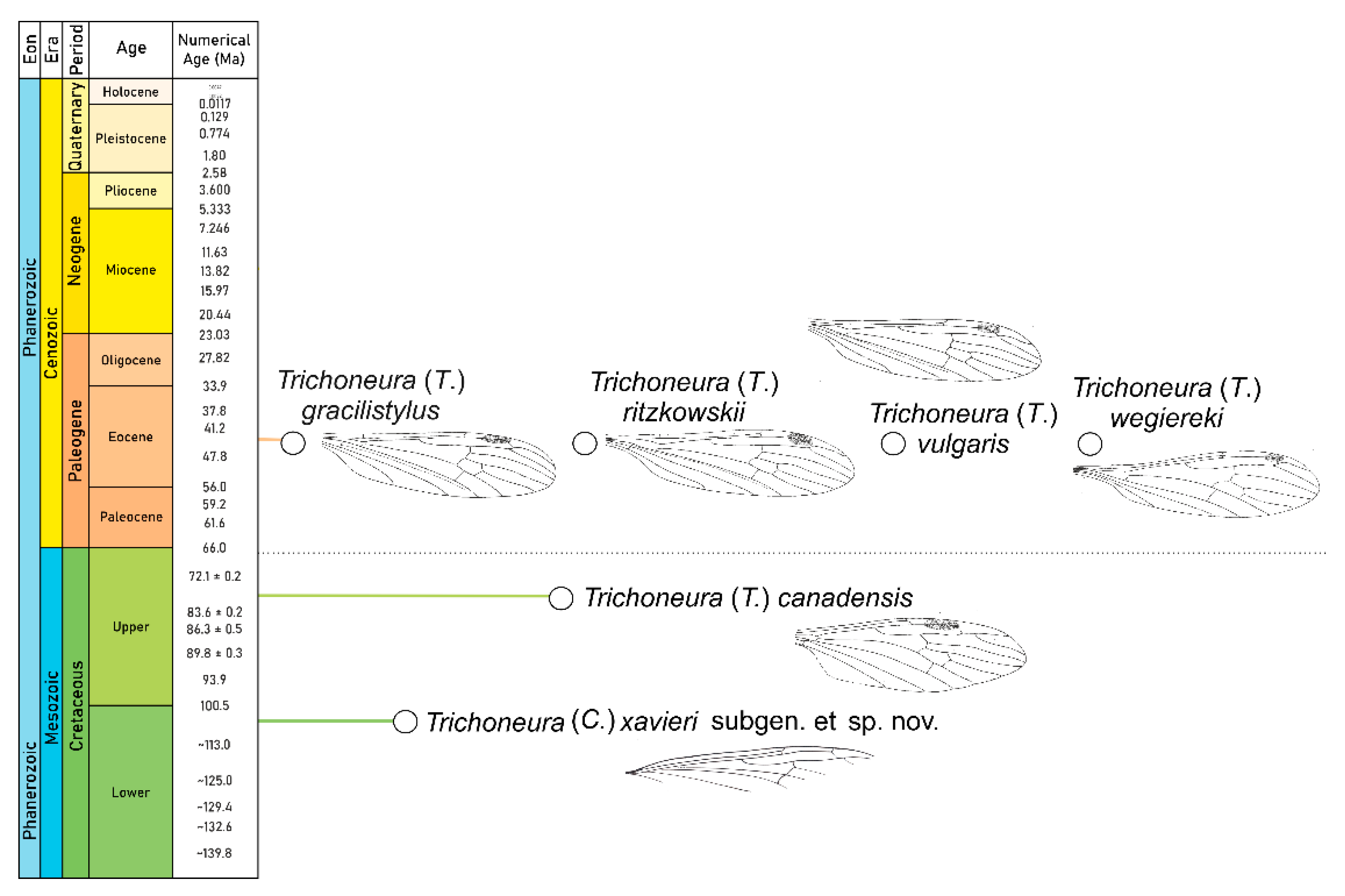 Insects 12 00411 g004