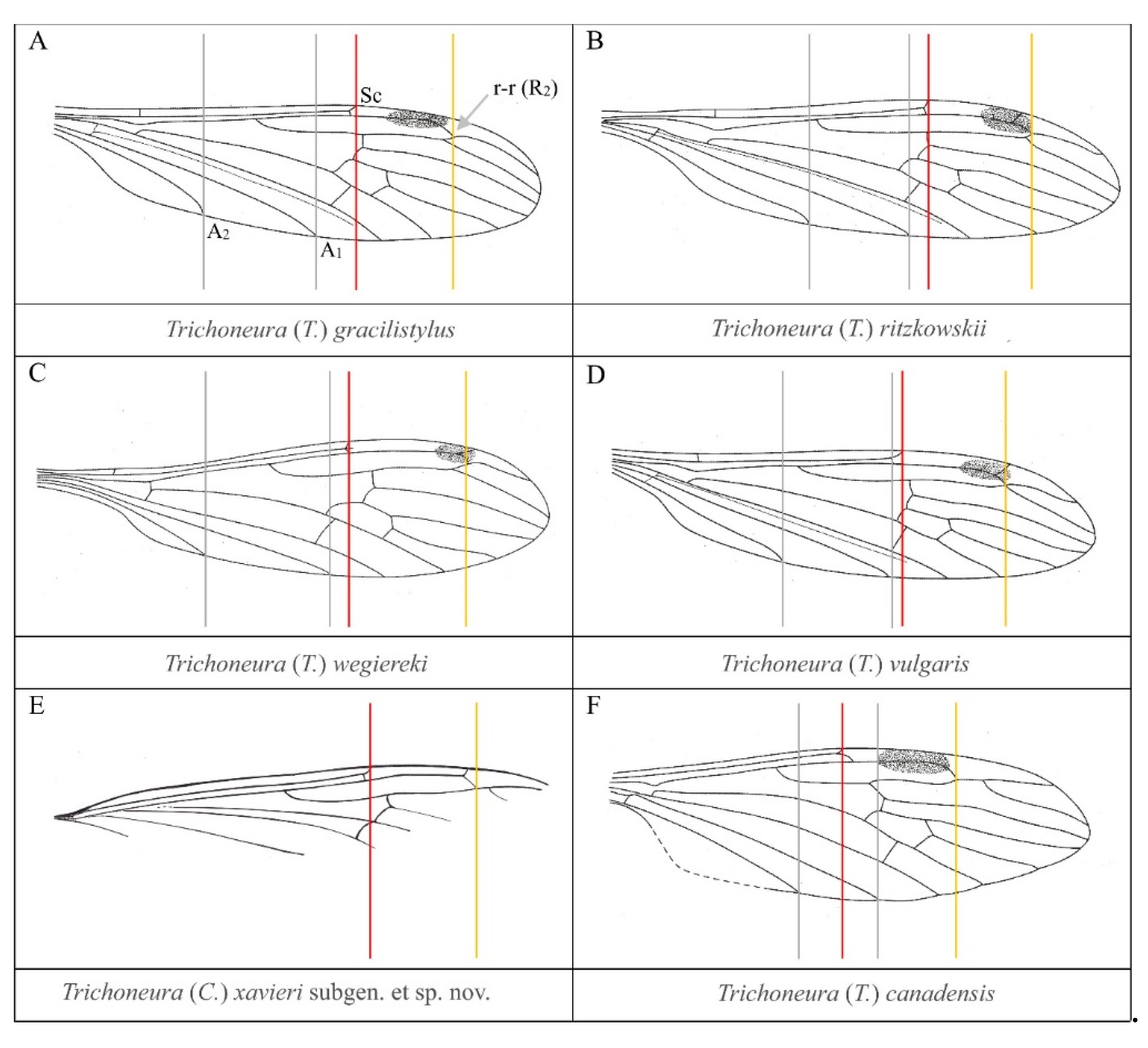 Insects 12 00411 g005